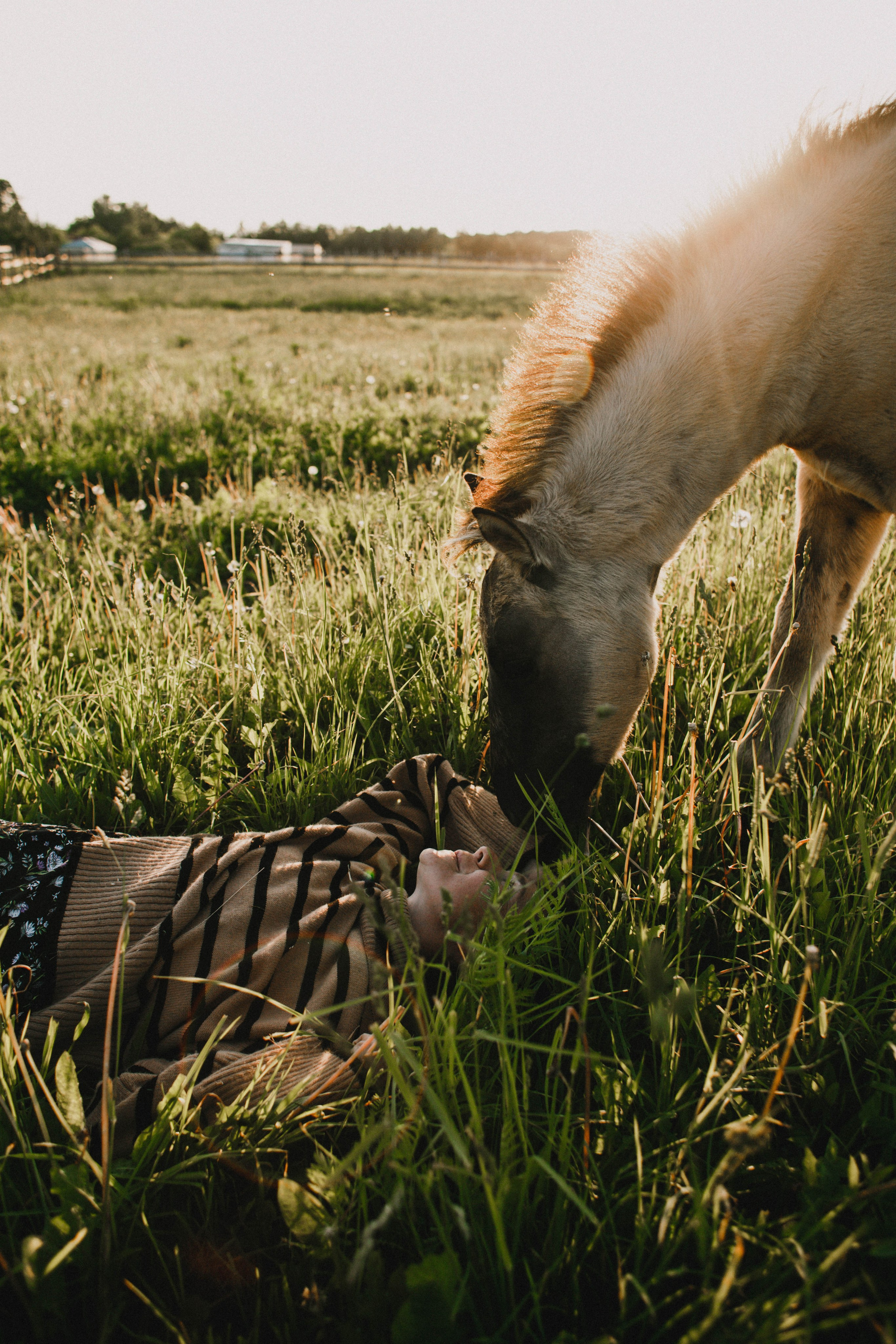 Варвара. Лошади. Закат. Фотограф в Нижнем Новгороде