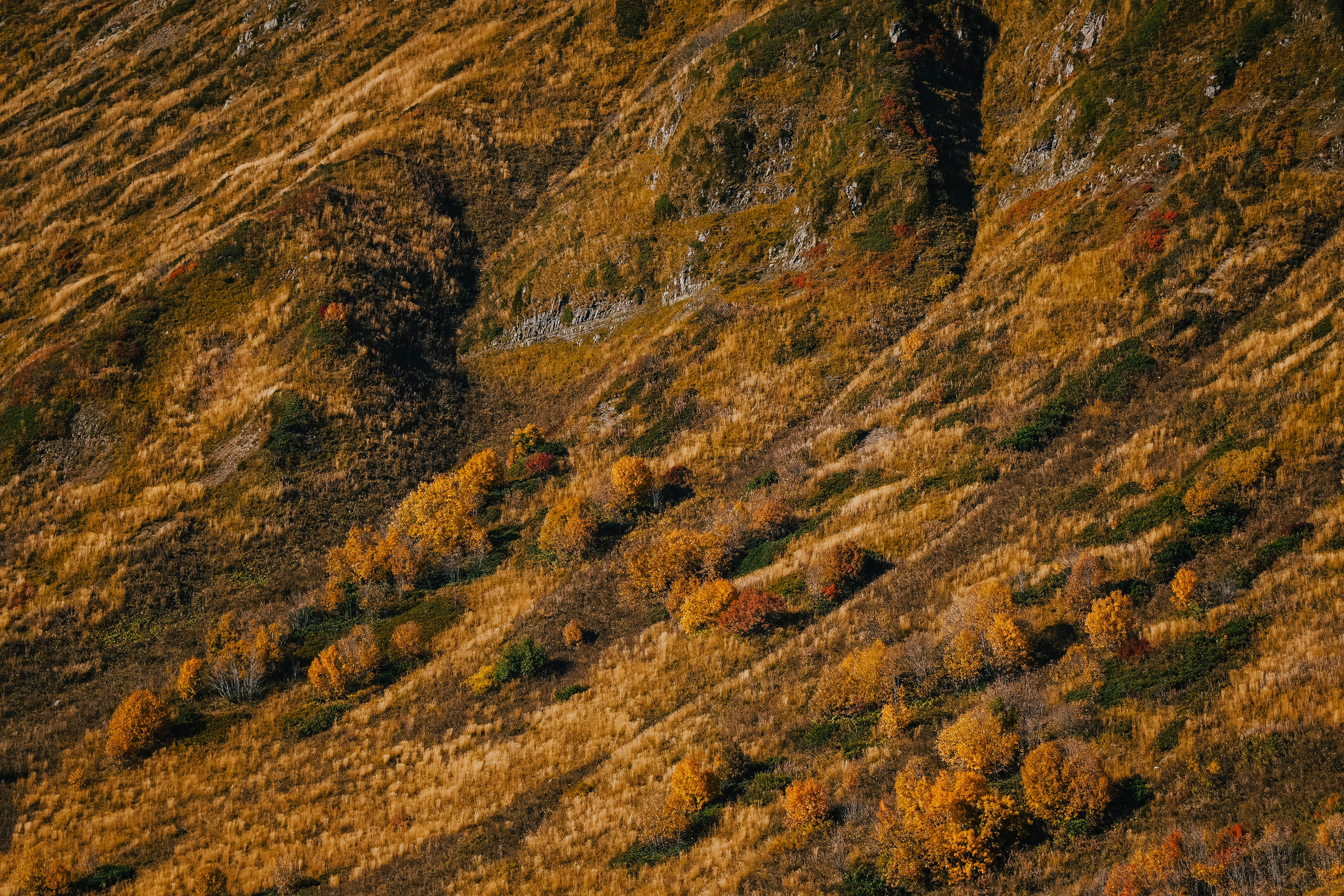 Роза Пик, тропа Турья ✽ Октябрь. Репортажный фотограф | Роза Хутор Красная Поляна Сочи Сириус