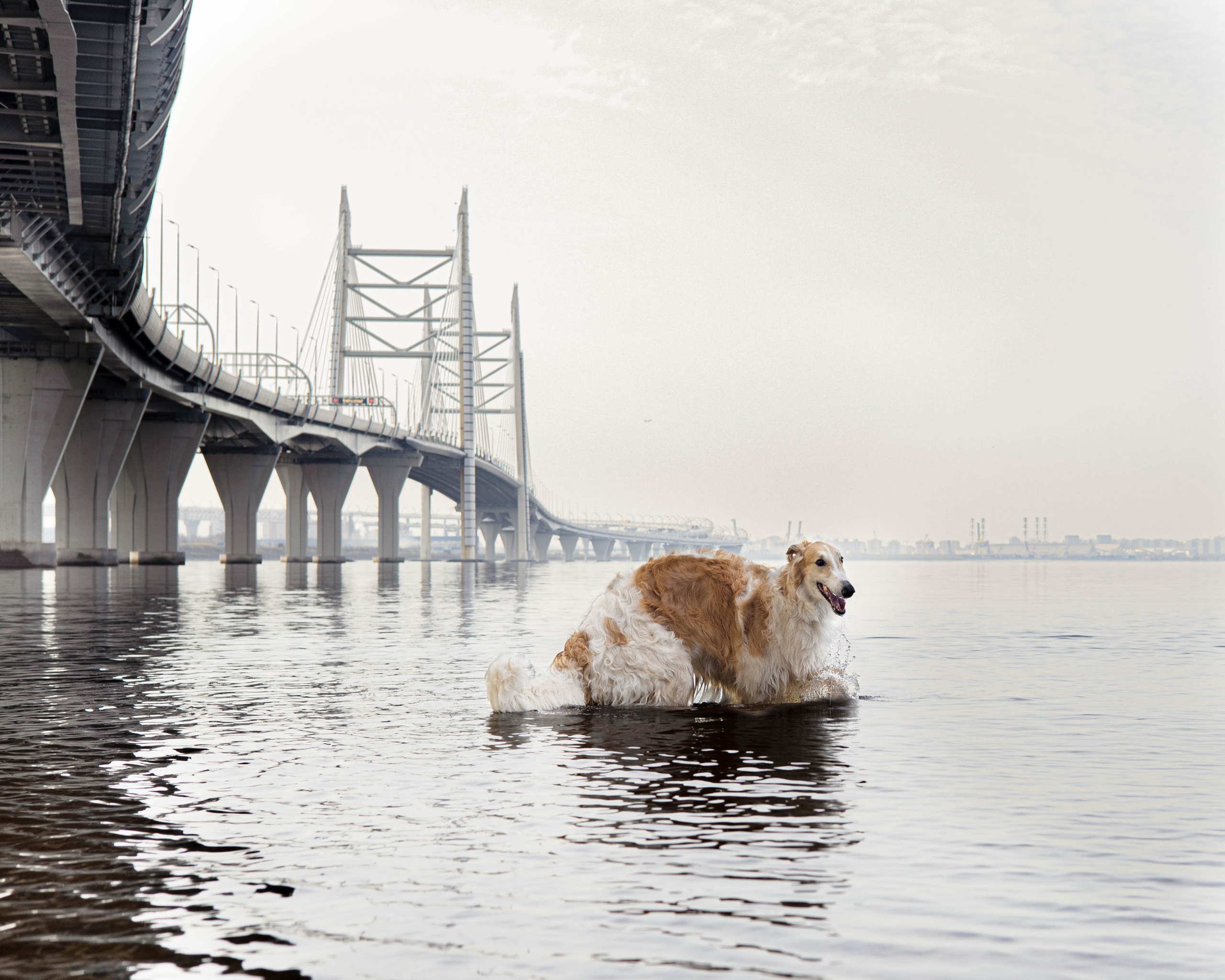 Ретушь. Фотограф Татьяна Власова