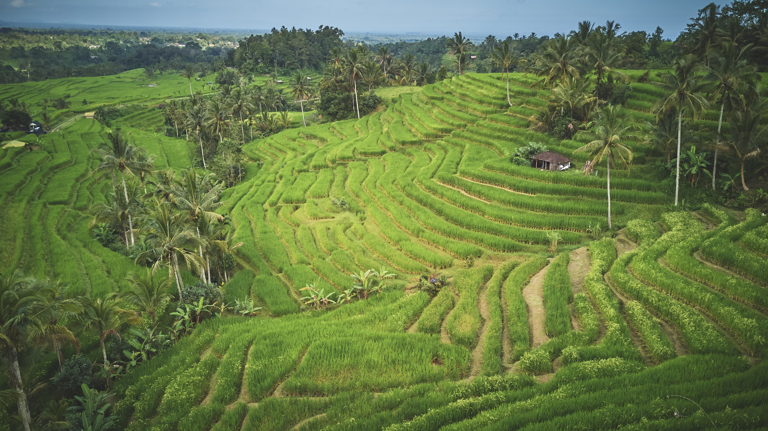 Путешествия и лайфстайл. Горный фотограф на Кавказе Никита Першин