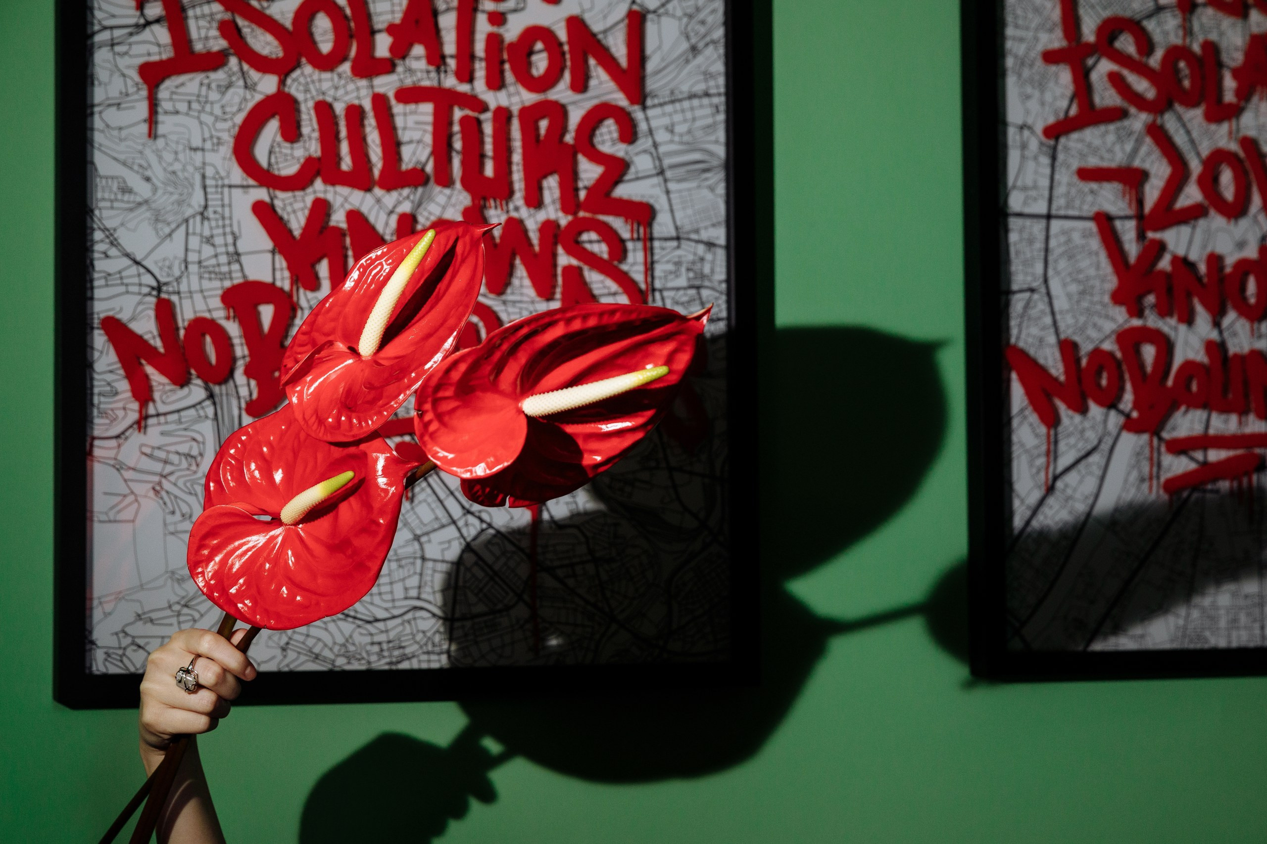 Феникс. Рожденная из пепла. Анонс