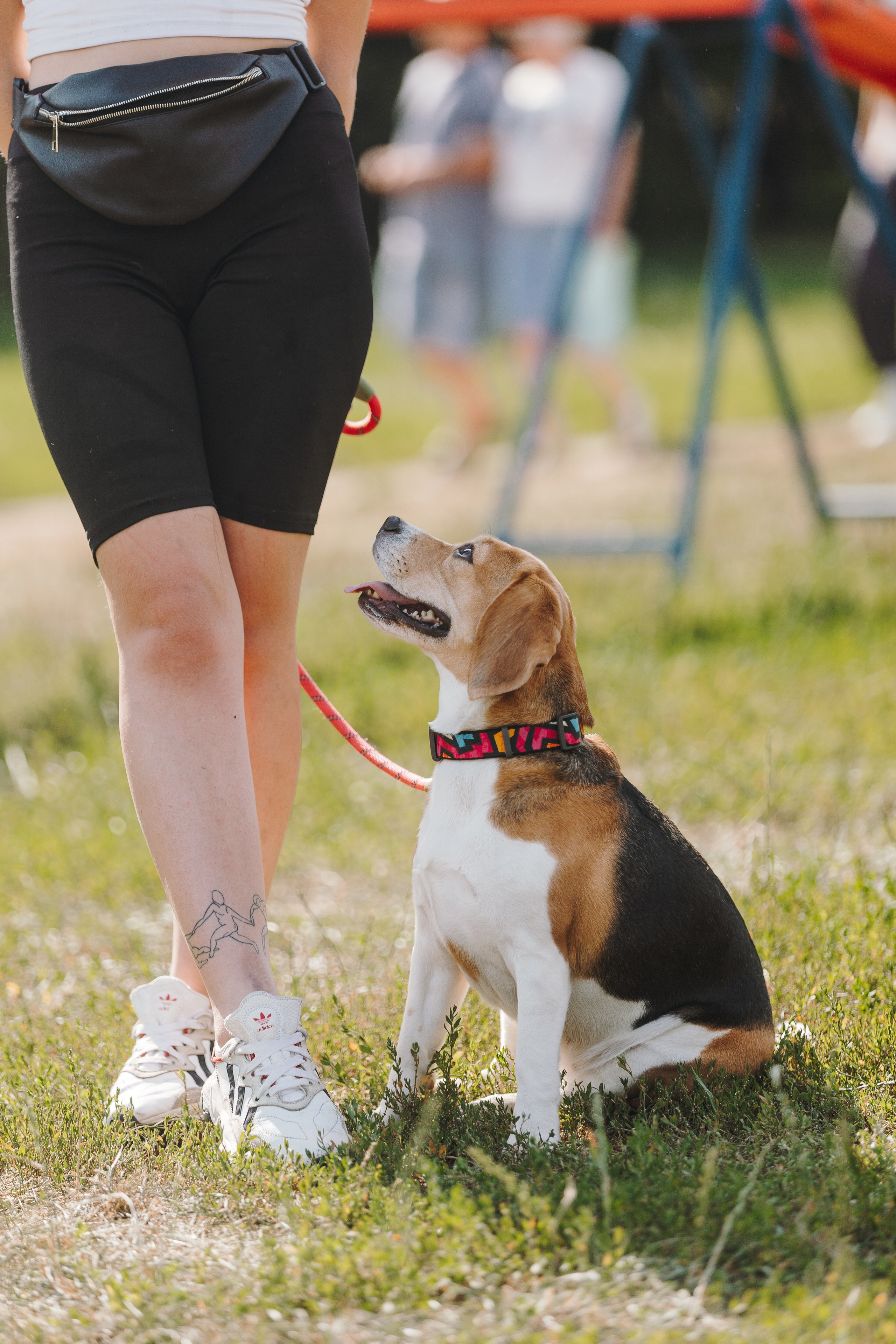 Petshop Sup day. Фотограф анималист Кристина Карпова, Москва