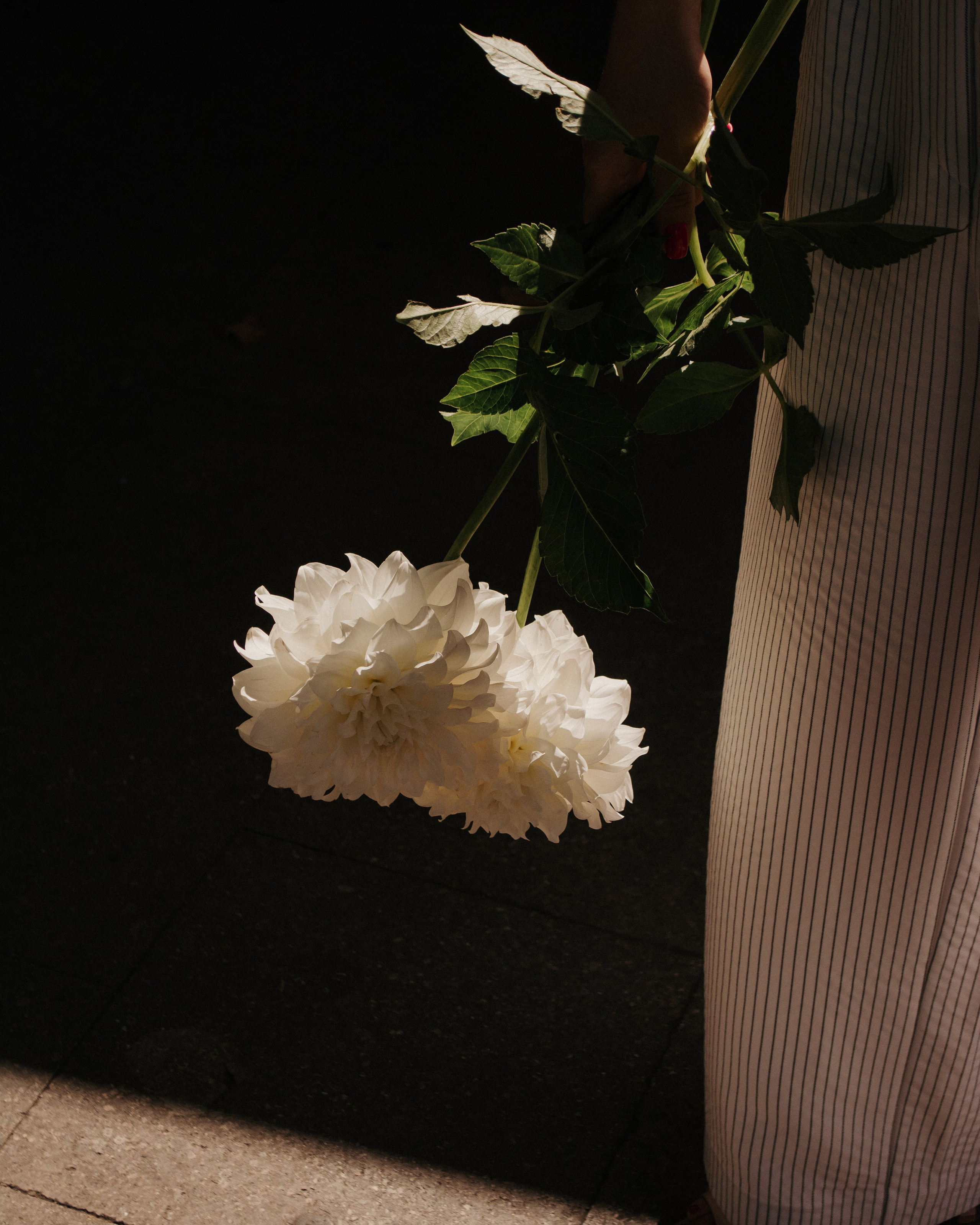 Летняя фотопрогулка по Тбилиси. Портретный и свадебный фотограф в Тбилиси • xeniqo