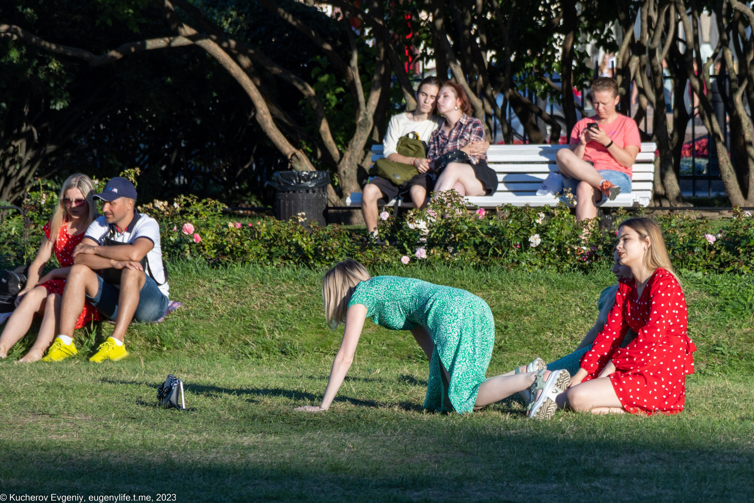 Скамейки. Кучеров Евгений. Фотограф