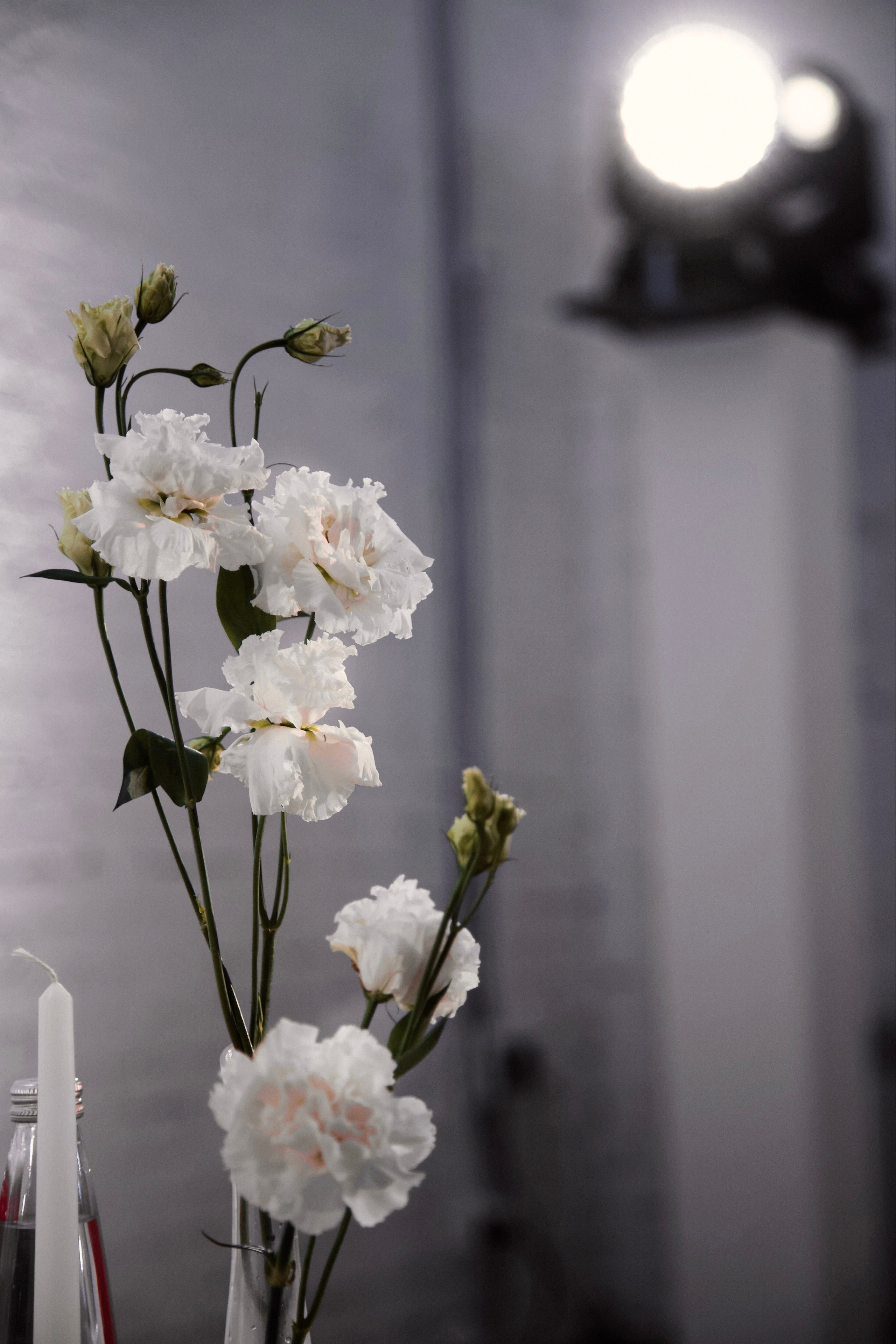 Михаил и Анастасия