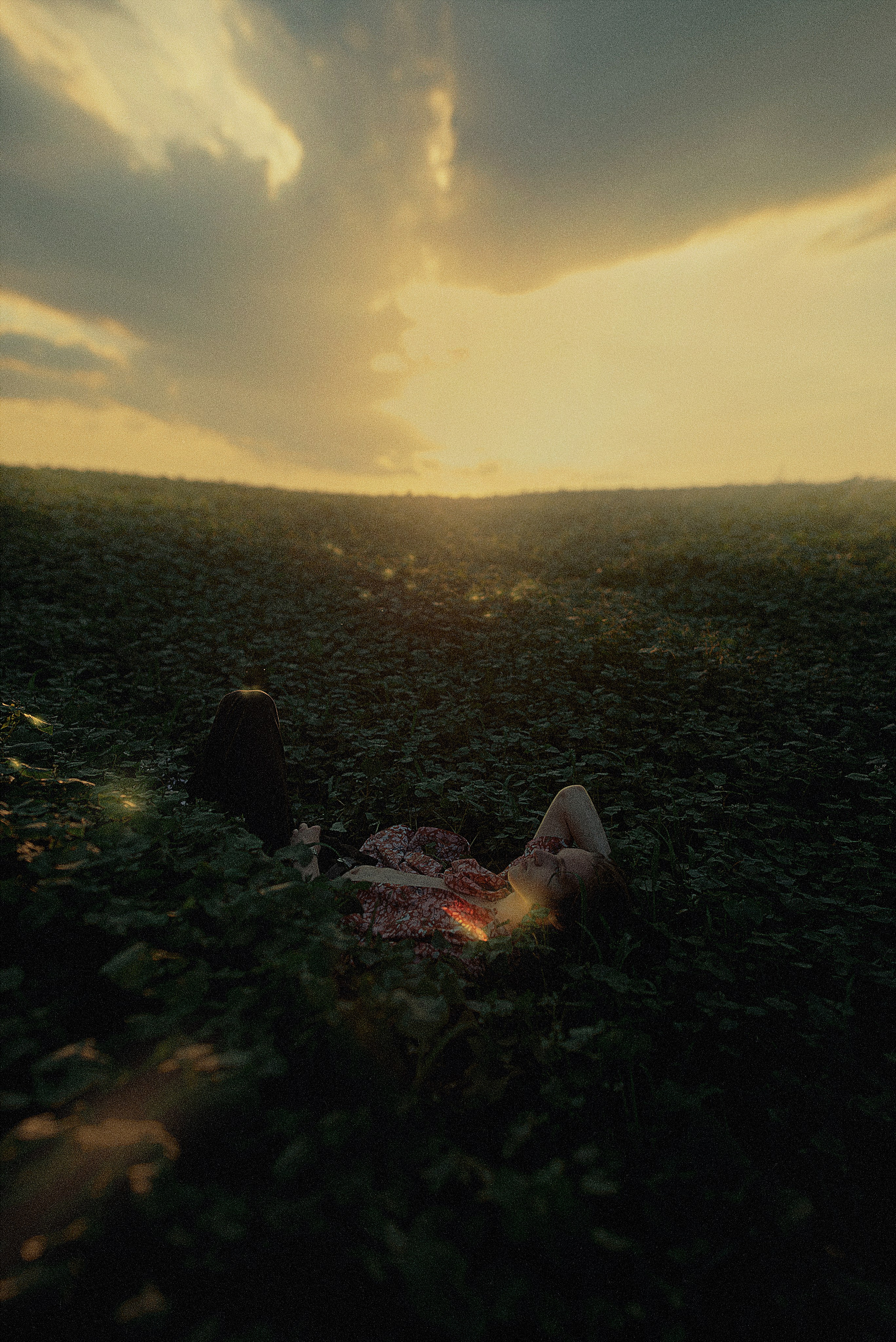 Игорь в гороховом поле. Антон Арнольд | Фотограф Минск