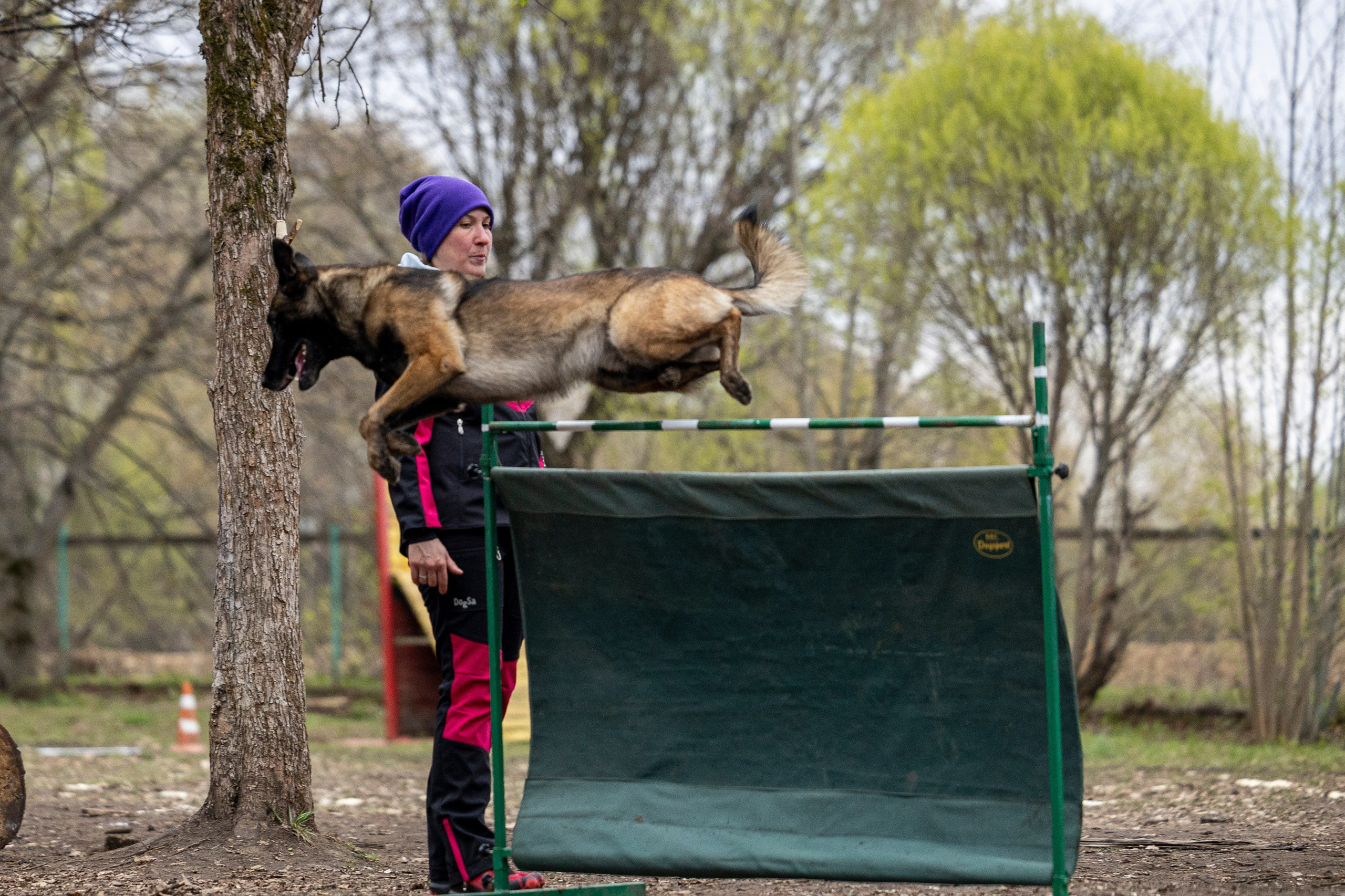 Квалификационные состязания по мондьорингу г. Вологда 11.05.24. Фотограф-анималист Анна Маринич
