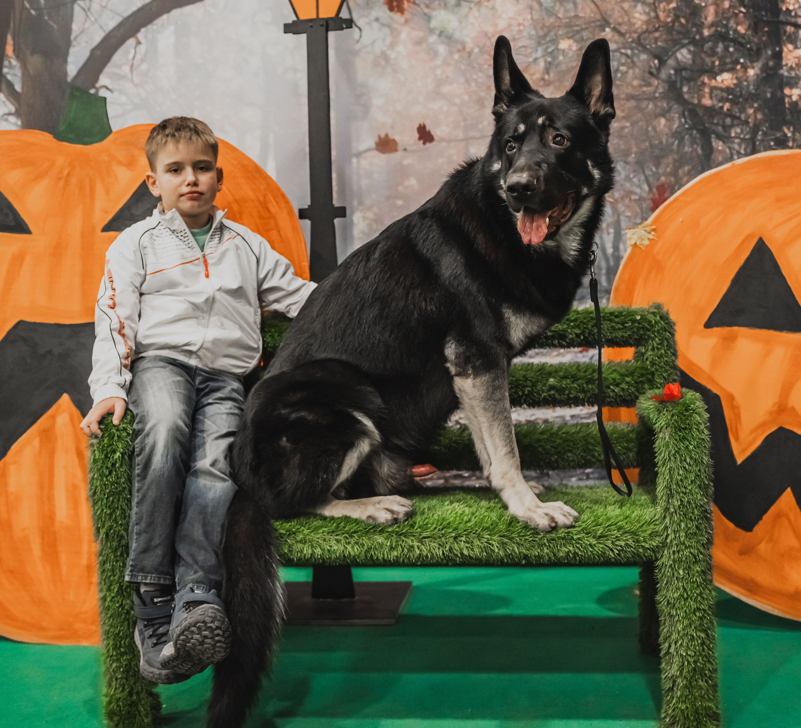 Международная выставка собак всех пород. Репортажный фотограф Анастасия Рубцова