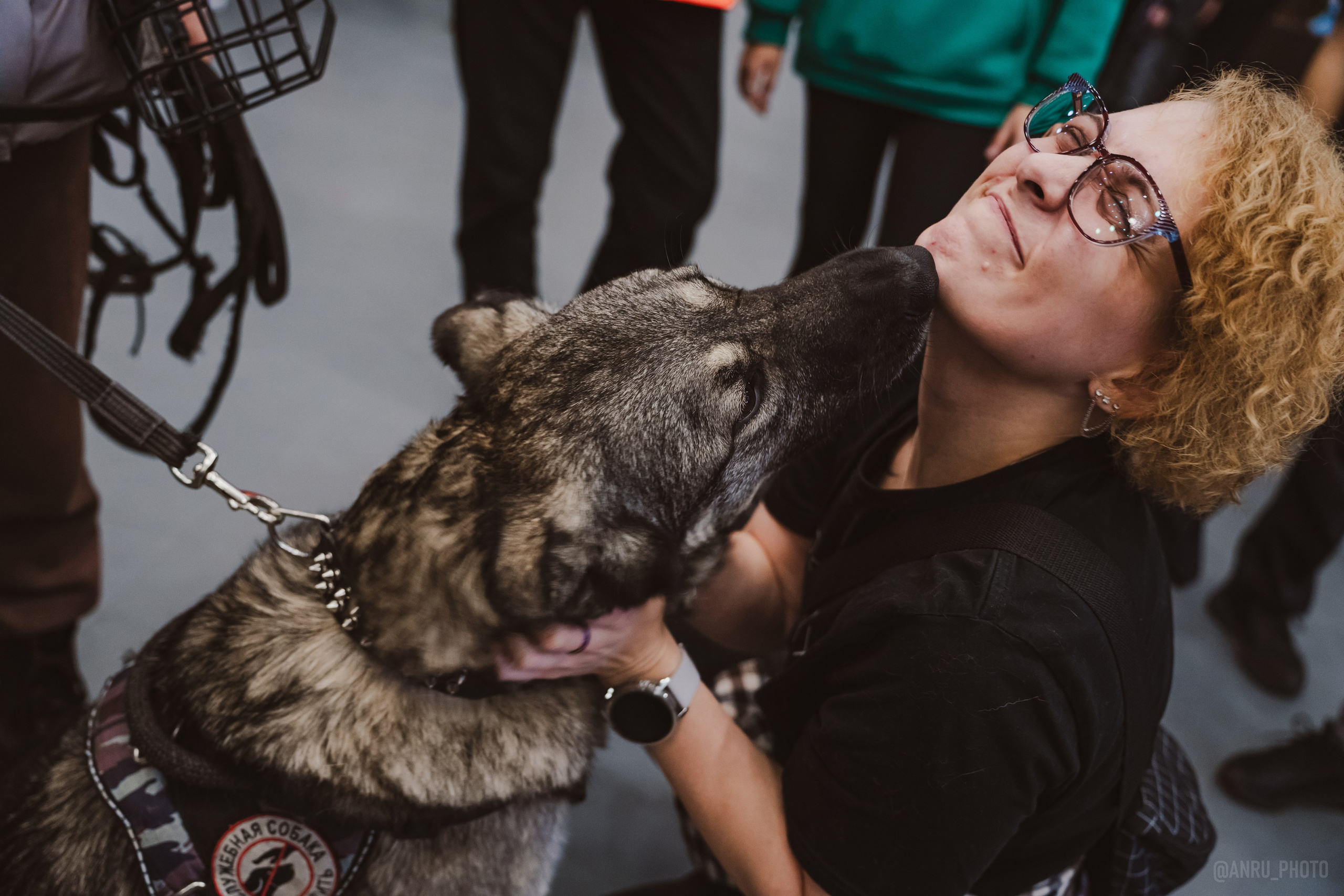 Fox Family fest. Репортажный фотограф Анастасия Рубцова