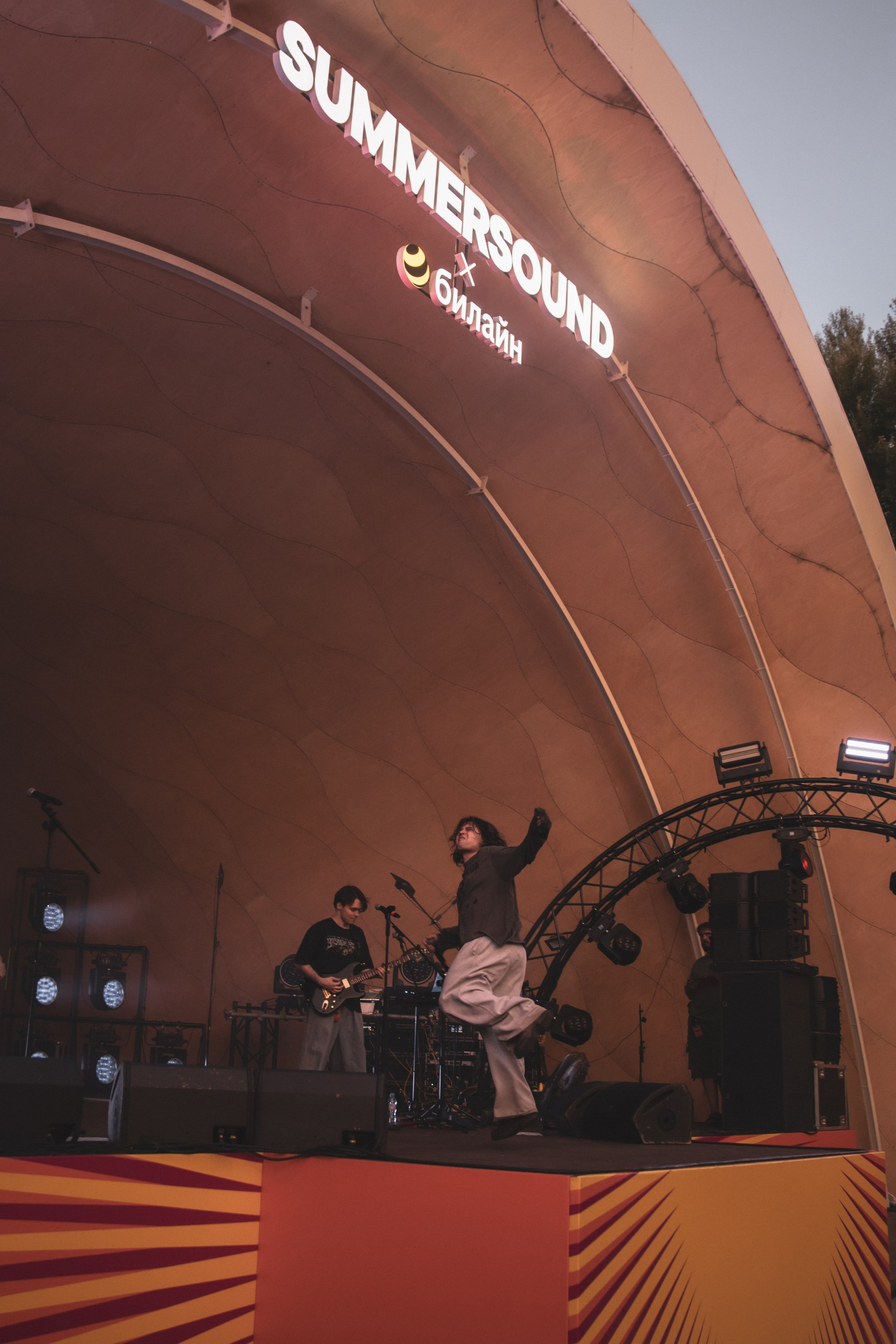 Saluki. Фотограф Нижний Новгород — Дмитрий Грехов