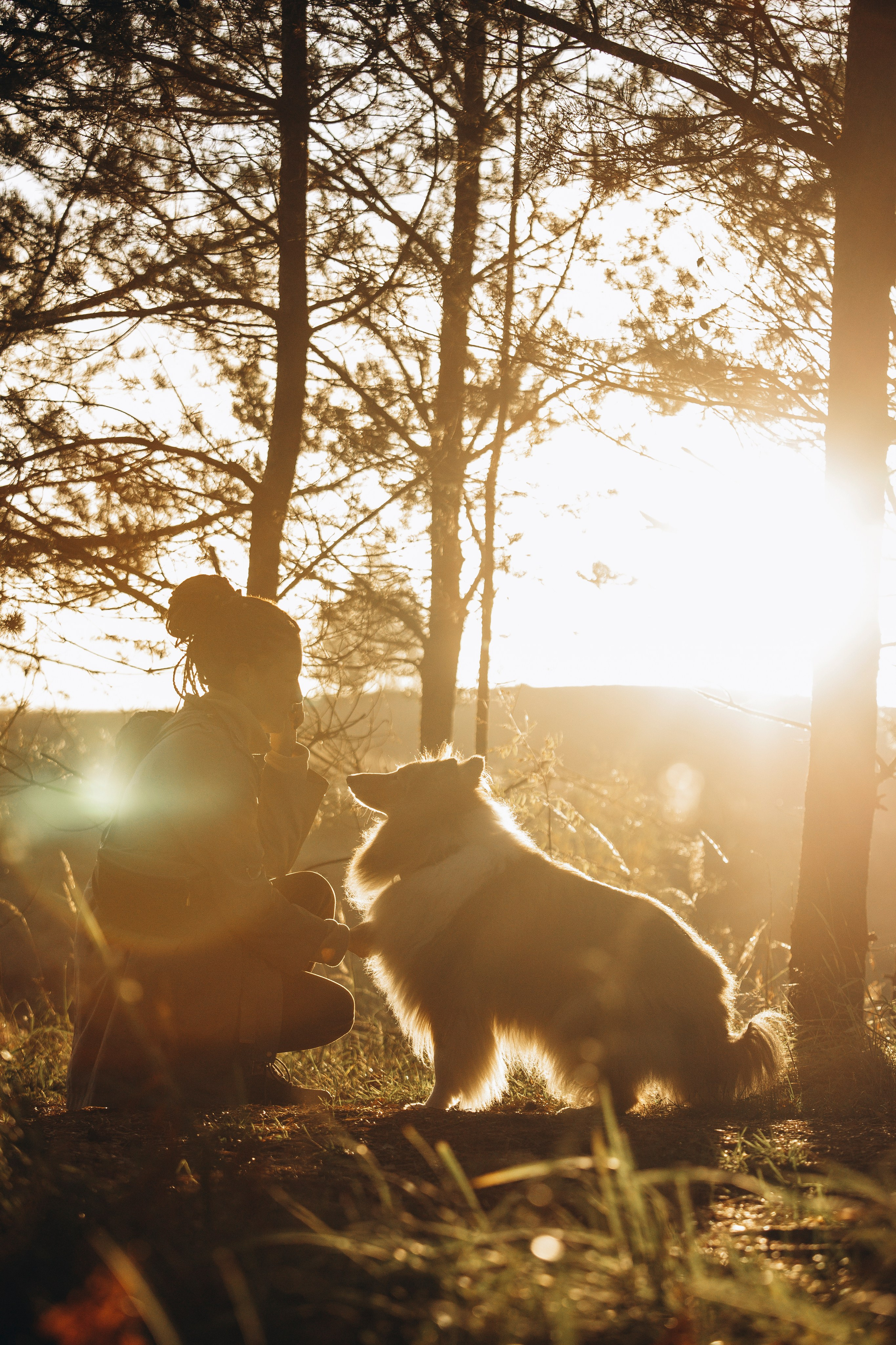 Трисс, Эста, Яся и их семья. Фотограф — Анималист | Санкт-Петербург