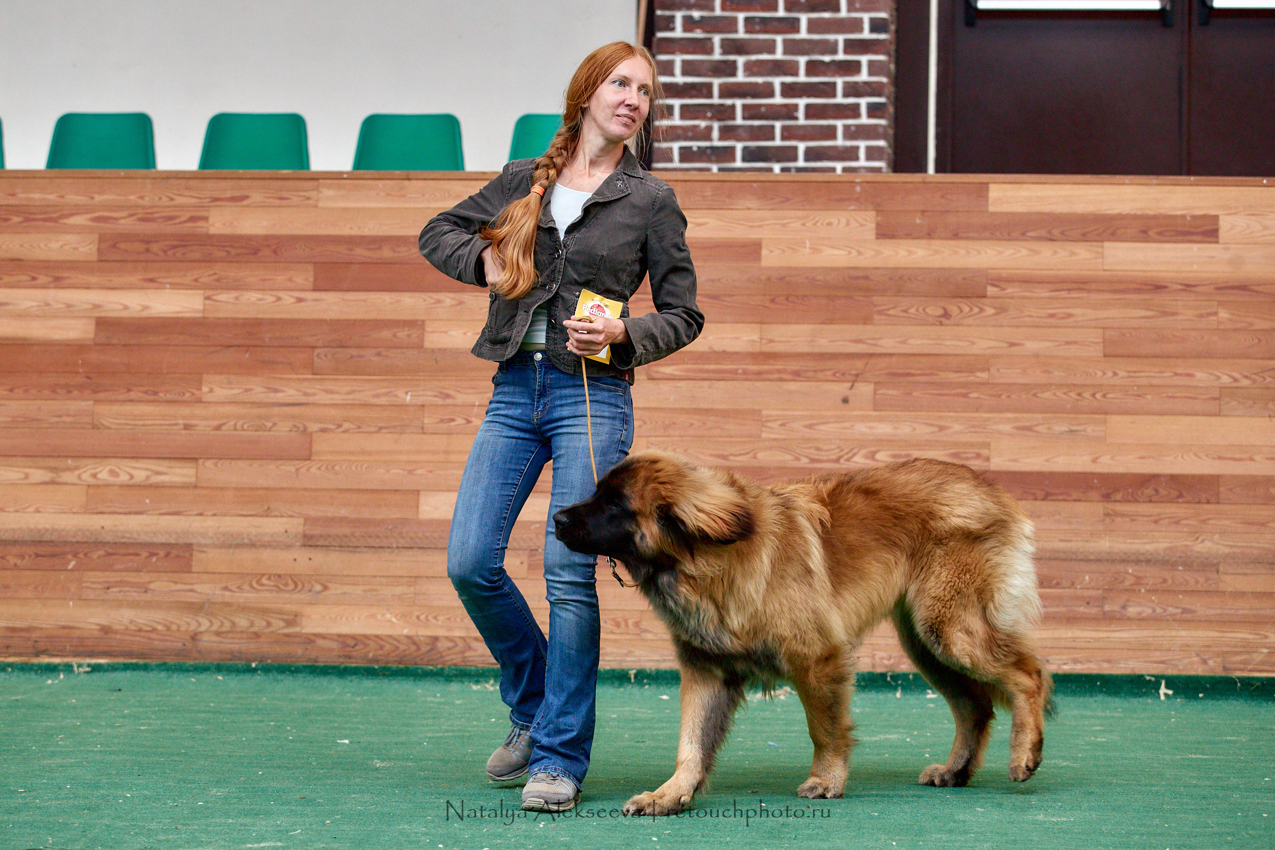 Всепородная выставка собак «МОЯ МОСКВА 2020», Maxima Stables | 09'2020. Репортажный фотограф и ретушер в Москве Наталья Алексеева