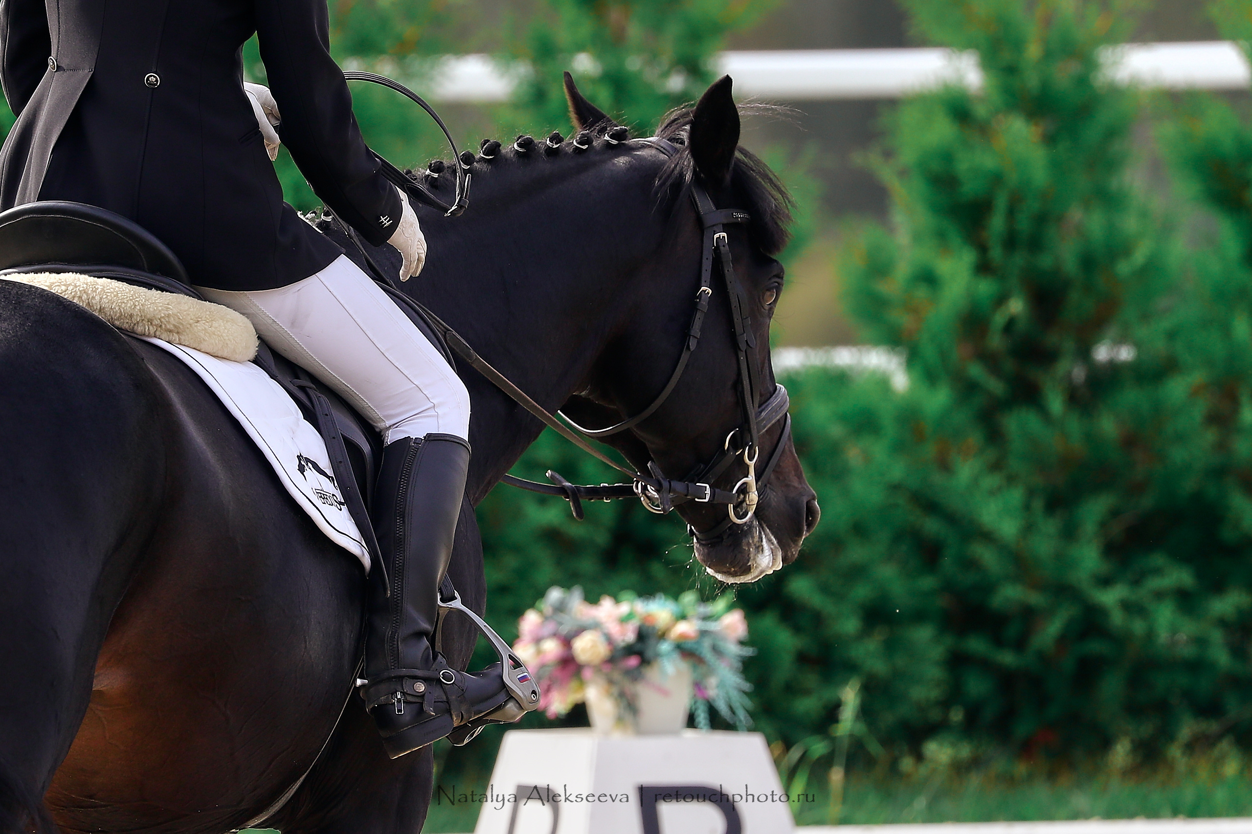 Всероссийские студенческие соревнования, Maxima Stables | 09'2020. Репортажный фотограф и ретушер в Москве Наталья Алексеева