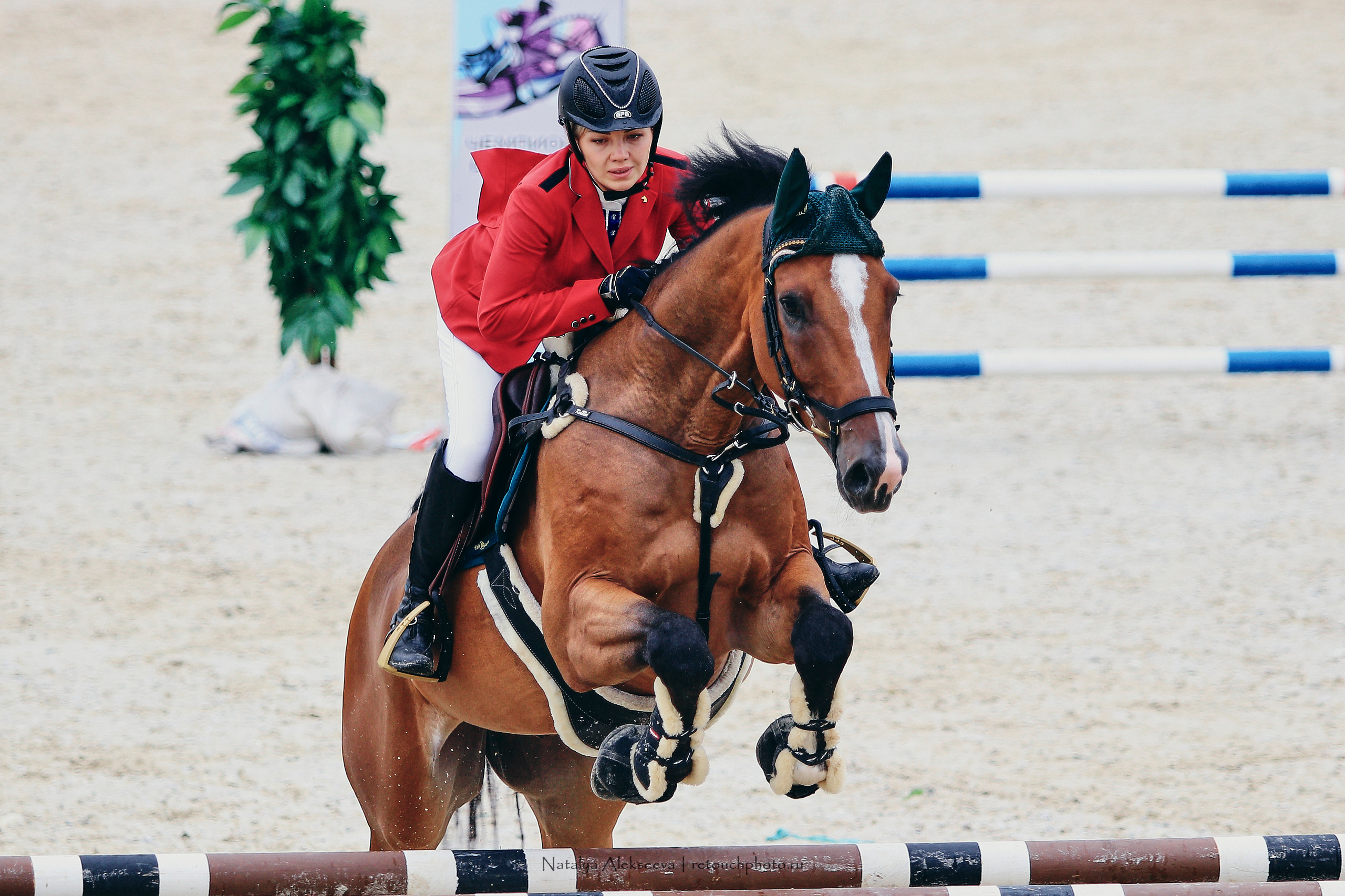 Чемпионат России по конкуру, КСК Ивановское | 08'2019. Репортажный фотограф и ретушер в Москве Наталья Алексеева