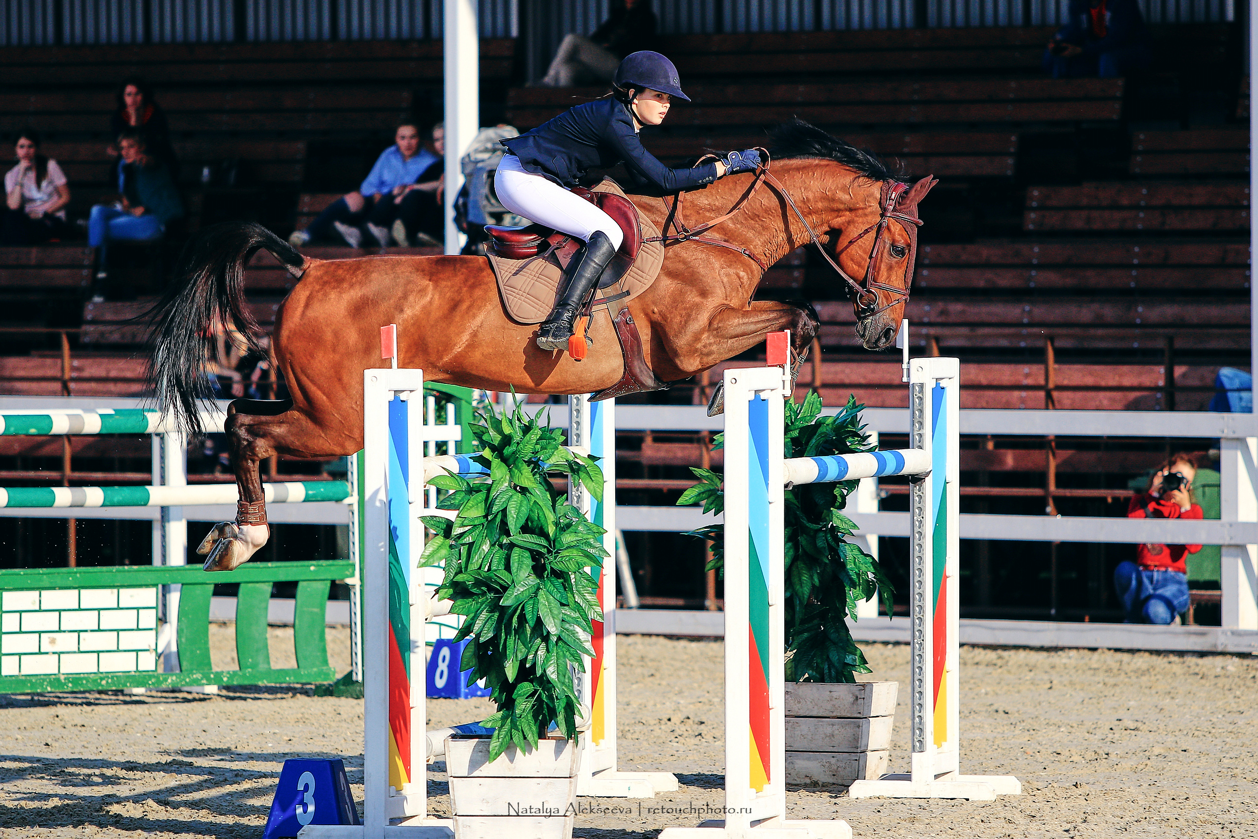 Чемпионат России по конкуру, КСК Ивановское | 08'2019. Репортажный фотограф и ретушер в Москве Наталья Алексеева
