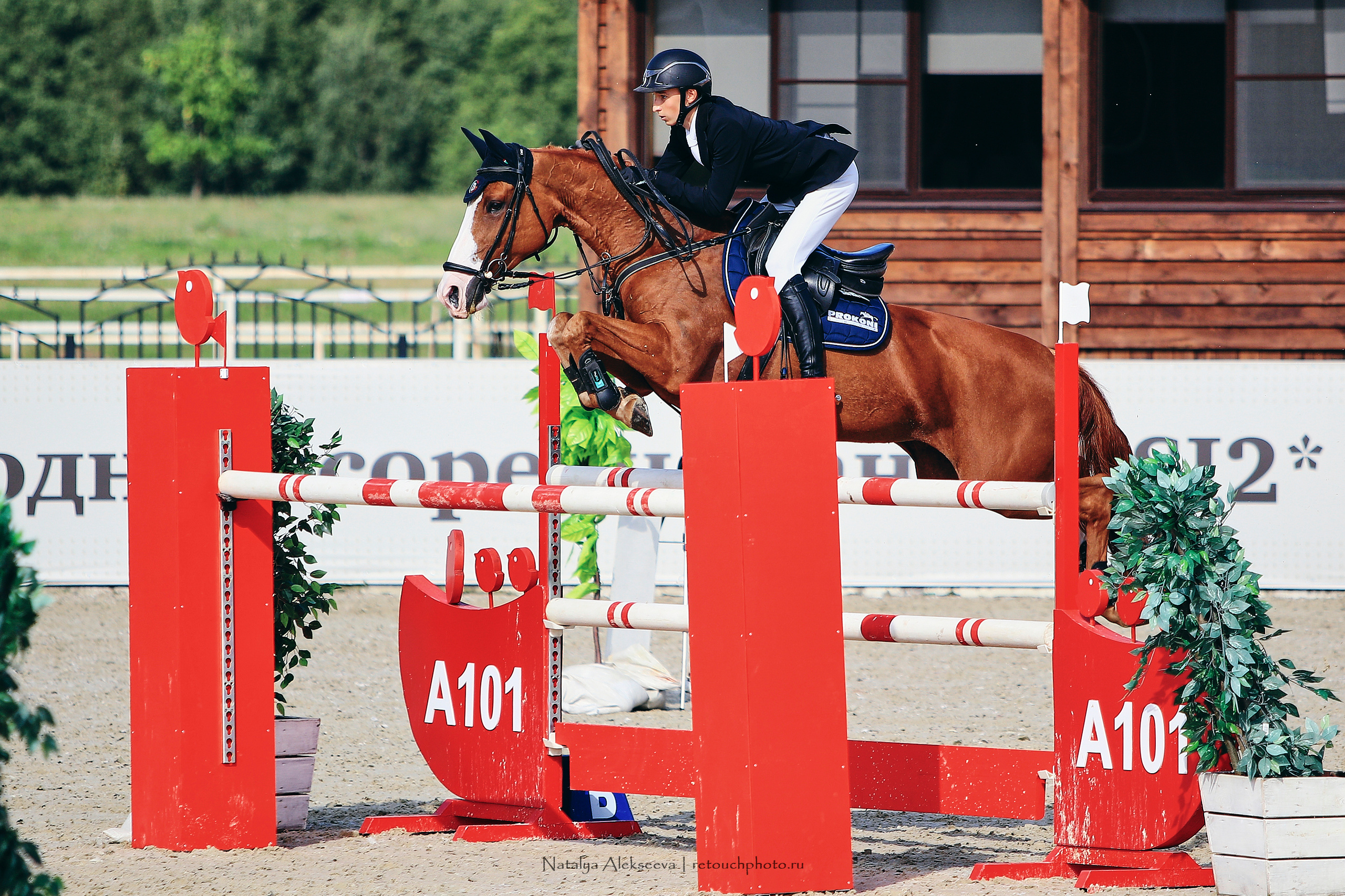 Чемпионат России по конкуру, КСК Ивановское | 08'2019. Репортажный фотограф и ретушер в Москве Наталья Алексеева