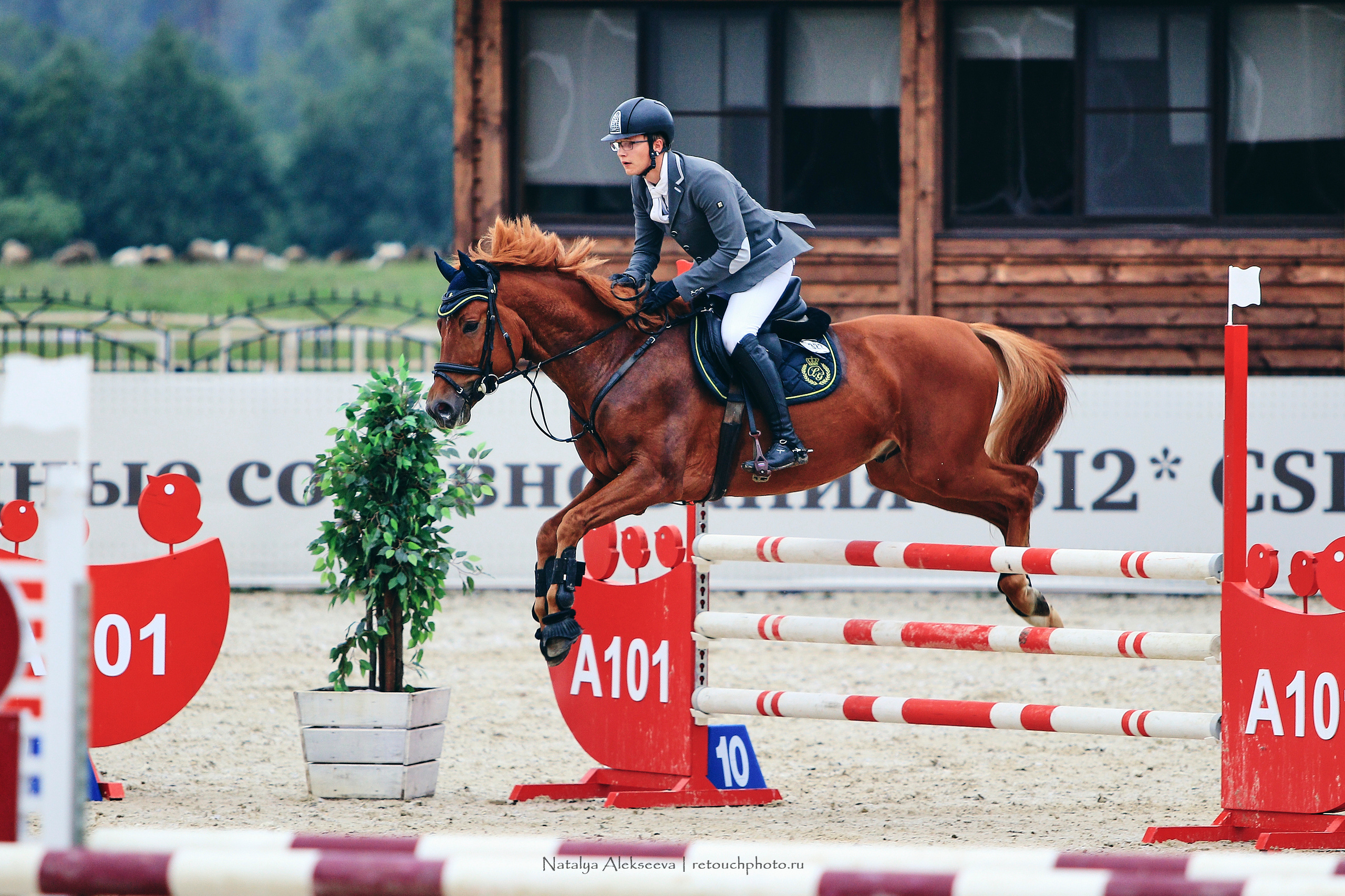 Чемпионат России по конкуру, КСК Ивановское | 08'2019. Репортажный фотограф и ретушер в Москве Наталья Алексеева