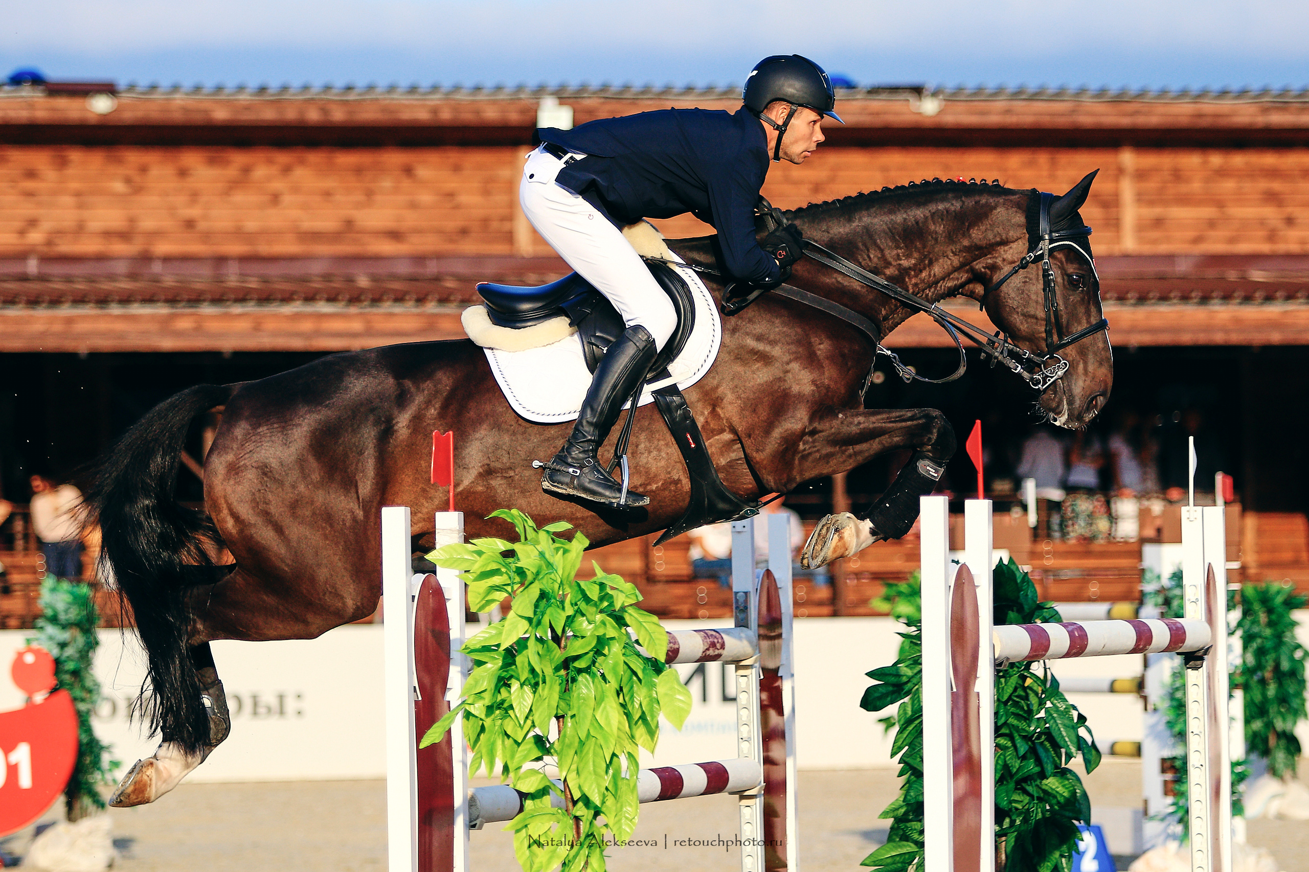 Чемпионат России по конкуру, КСК Ивановское | 08'2019. Репортажный фотограф и ретушер в Москве Наталья Алексеева