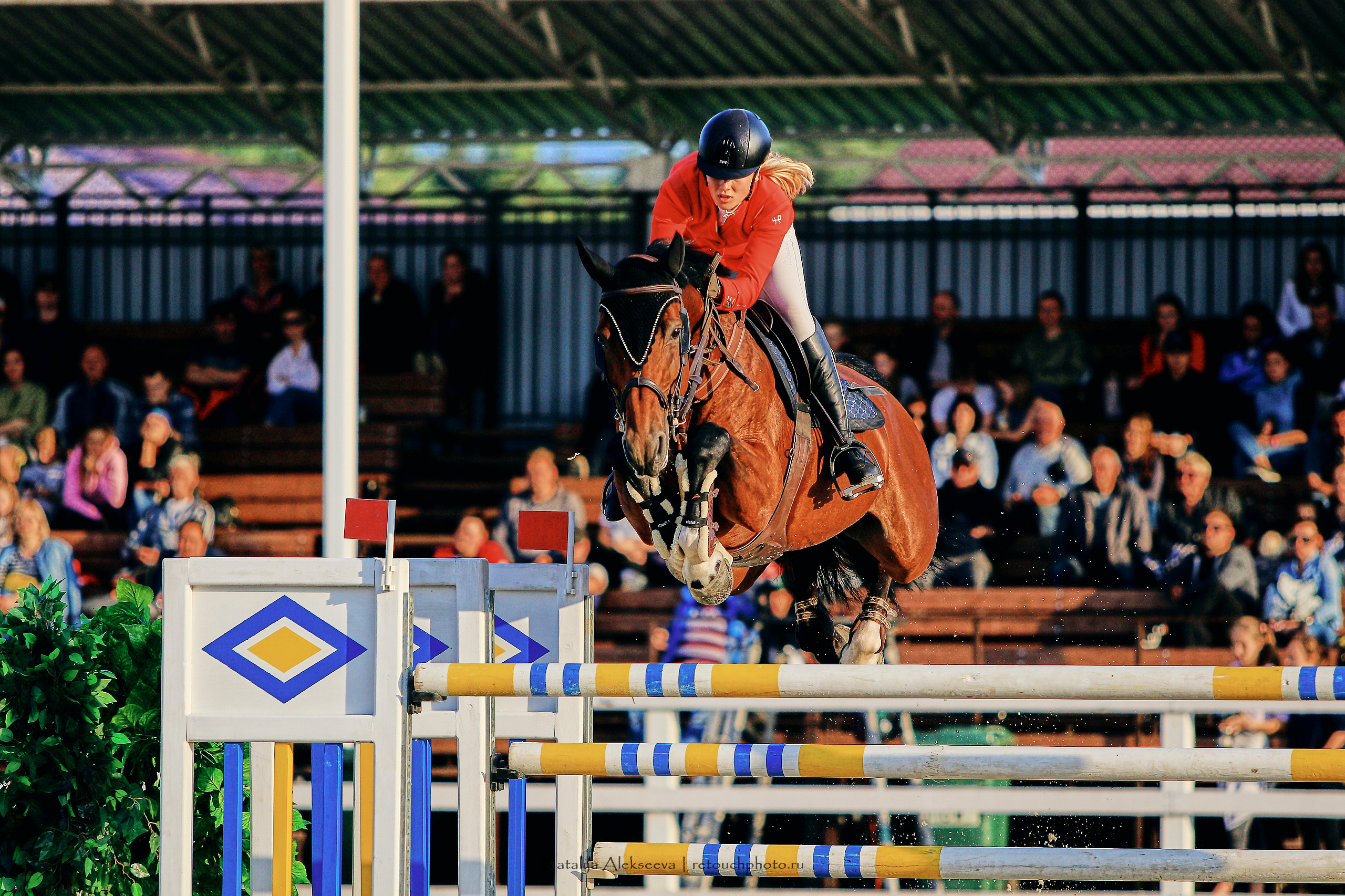 Чемпионат России по конкуру, КСК Ивановское | 08'2019. Репортажный фотограф и ретушер в Москве Наталья Алексеева