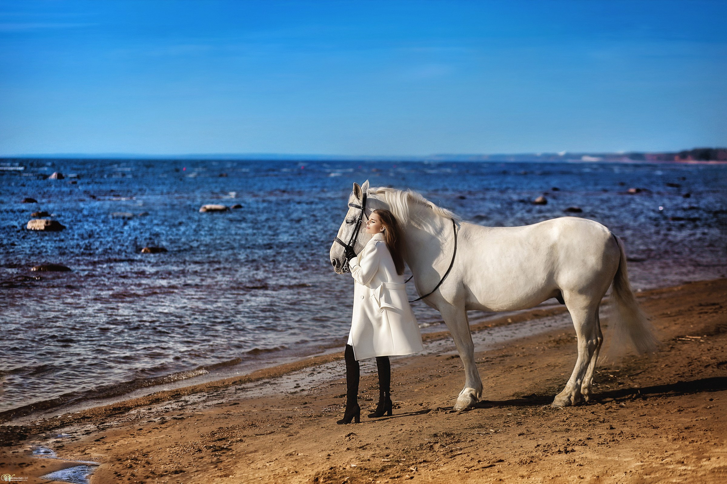 Фотосессии с лошадьми осенью. Фотограф женский и мужской портрет Санкт-Петербург