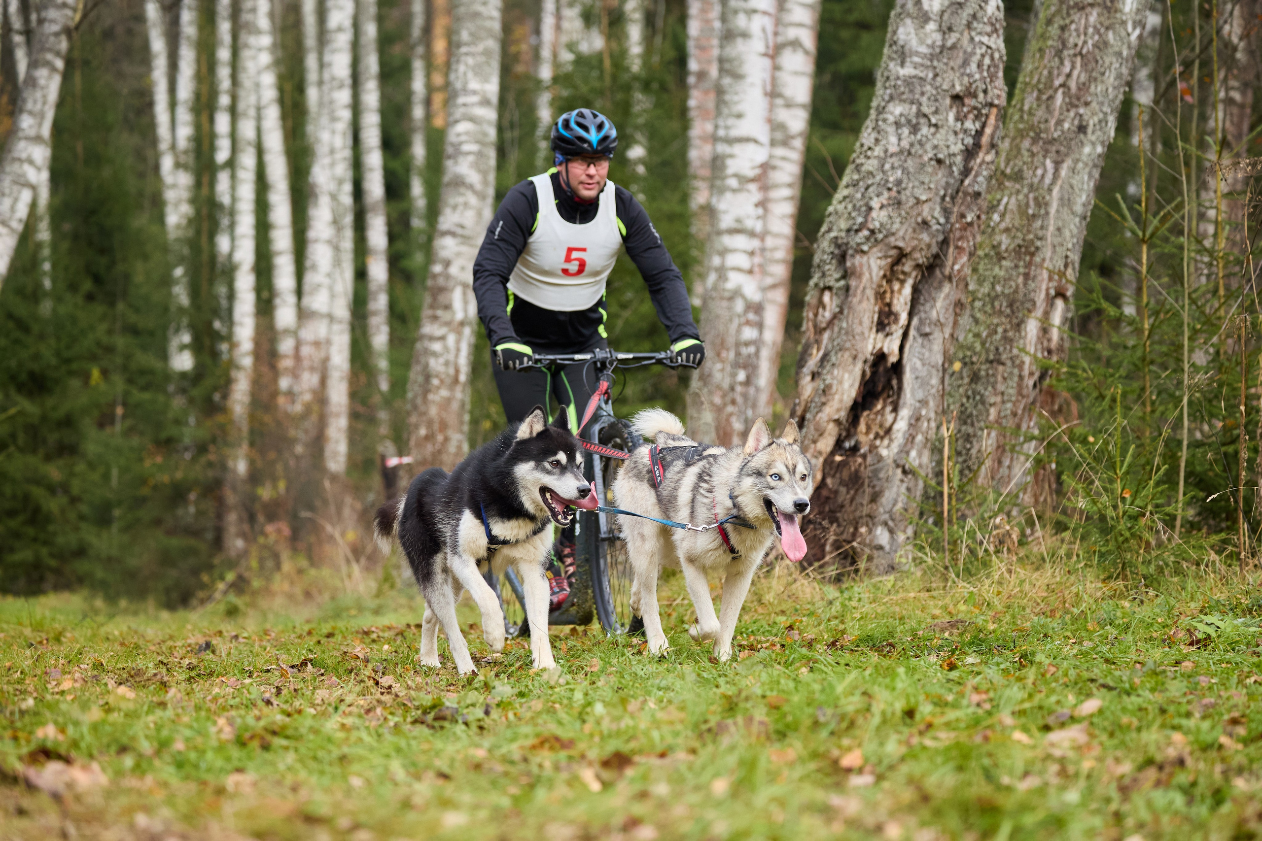 Чемпионат по ЕС Ярославской области. Фотограф Ирина Астор