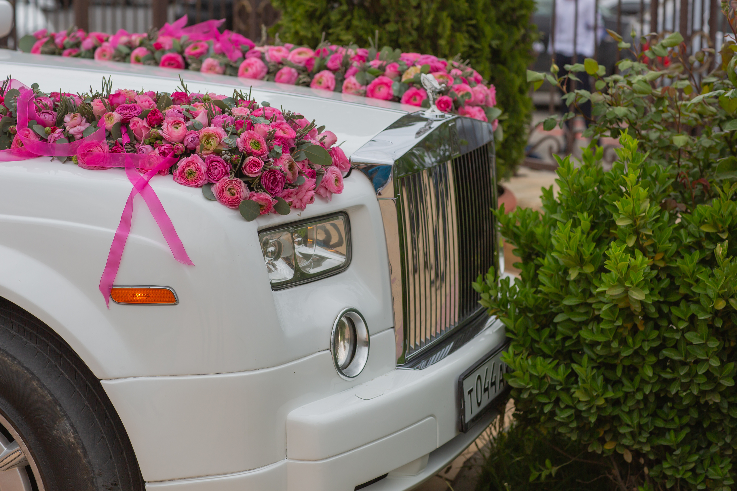 Маришка, 2016 г. Портфолио свадебного фотографа Магомеда Юсуфова