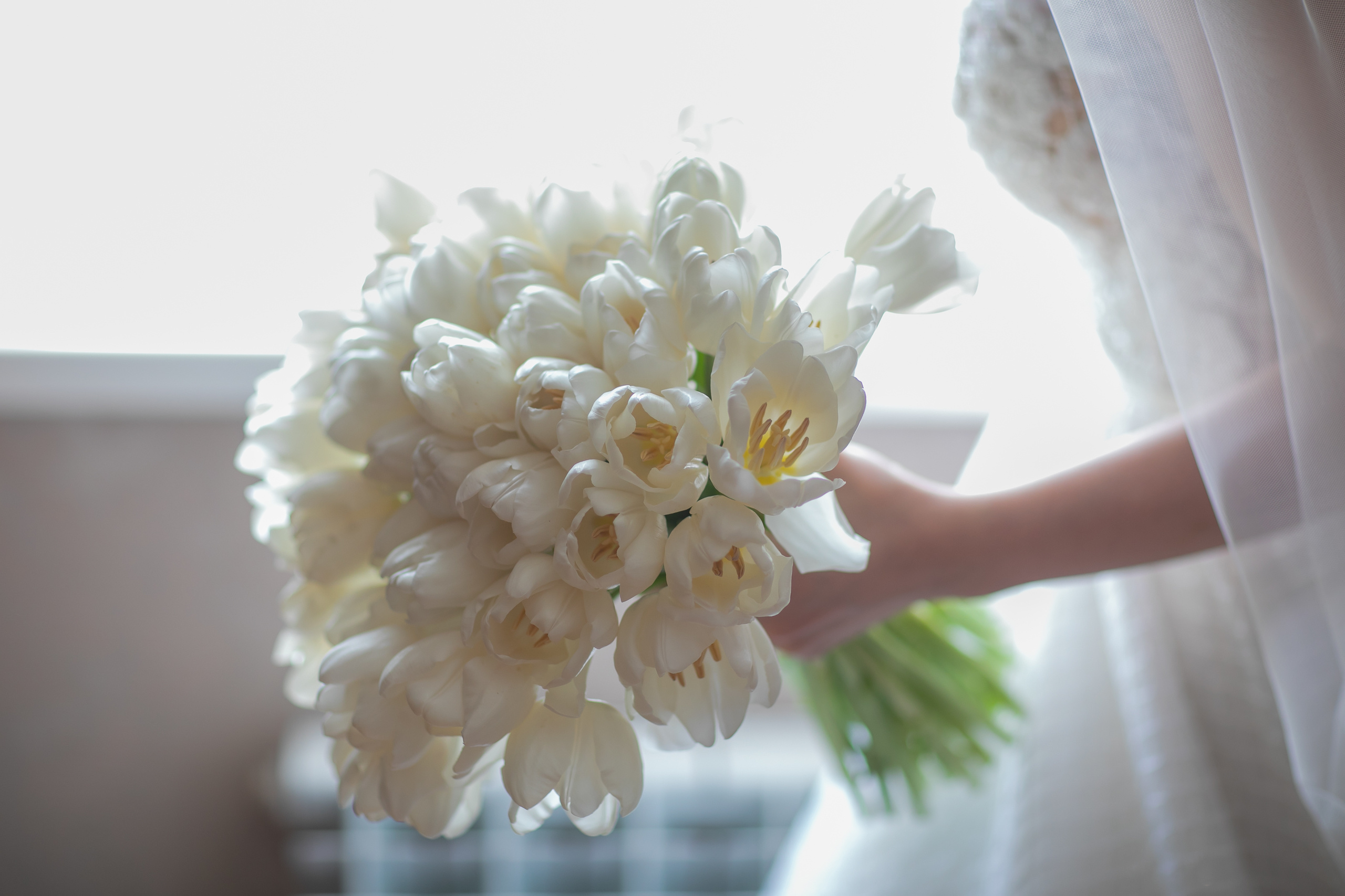 Портфолио свадебного фотографа Магомеда Юсуфова