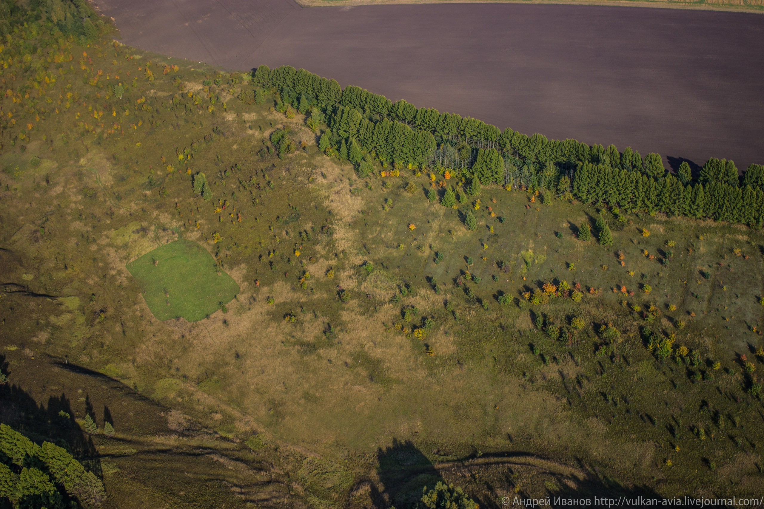 Волгодонск аэр. Потапов слёт «Небо для всех» (2021 г.). Фотоальбом показывающий увлекательный мир авиации и мир медведей Андрея Иванова