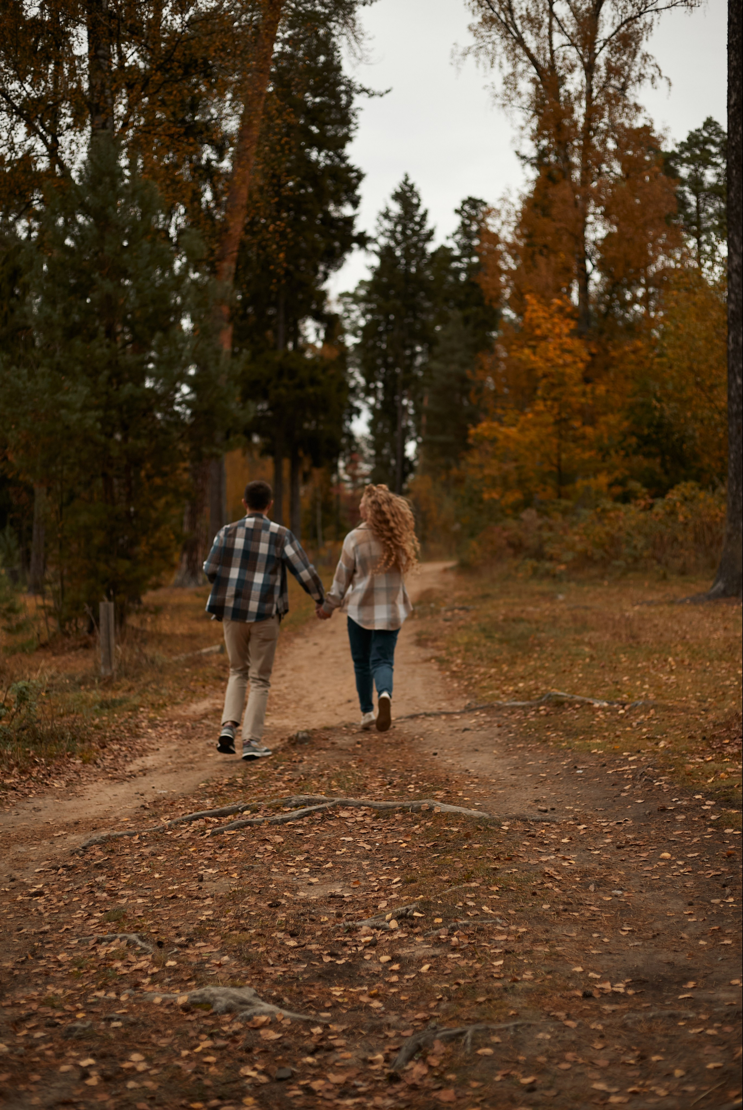 Уютная осень