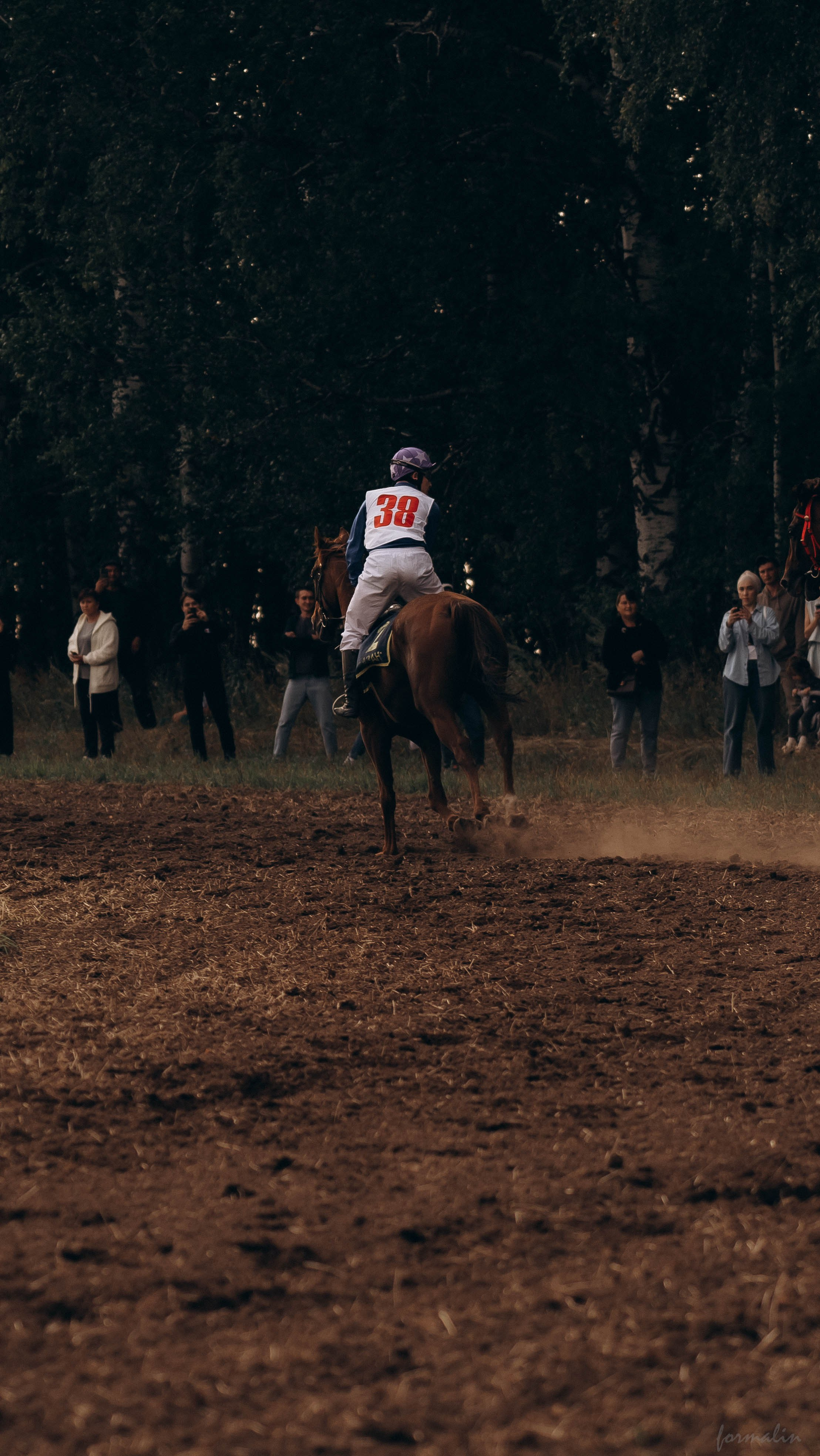 День Коня. Алиса Никитцова | Фотограф в Казани