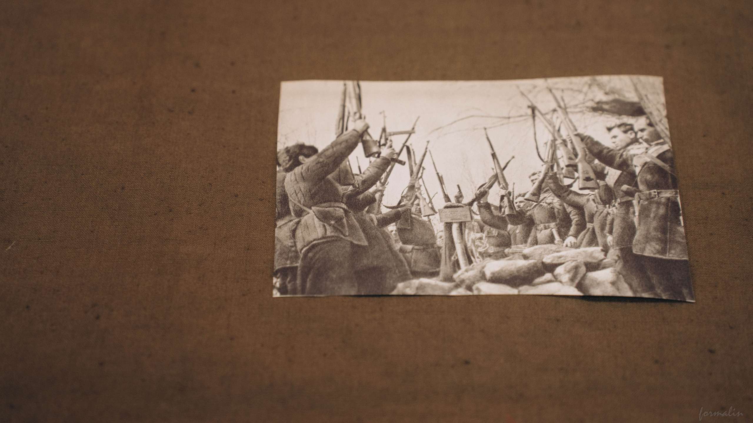 Фестиваль поисковых отрядов РТ 2025. Алиса Никитцова | Фотограф в Казани