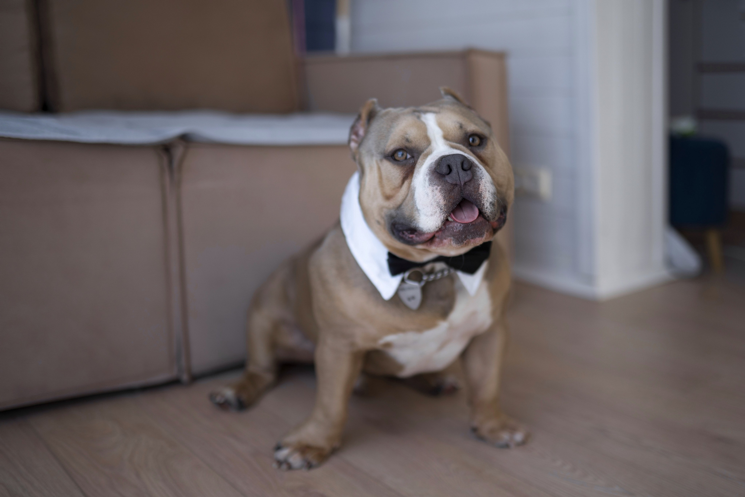 Свадебная фотосессия в Суздале для Каи и Никиты. Семейный фотограф в Суздале Елена Кузнецова