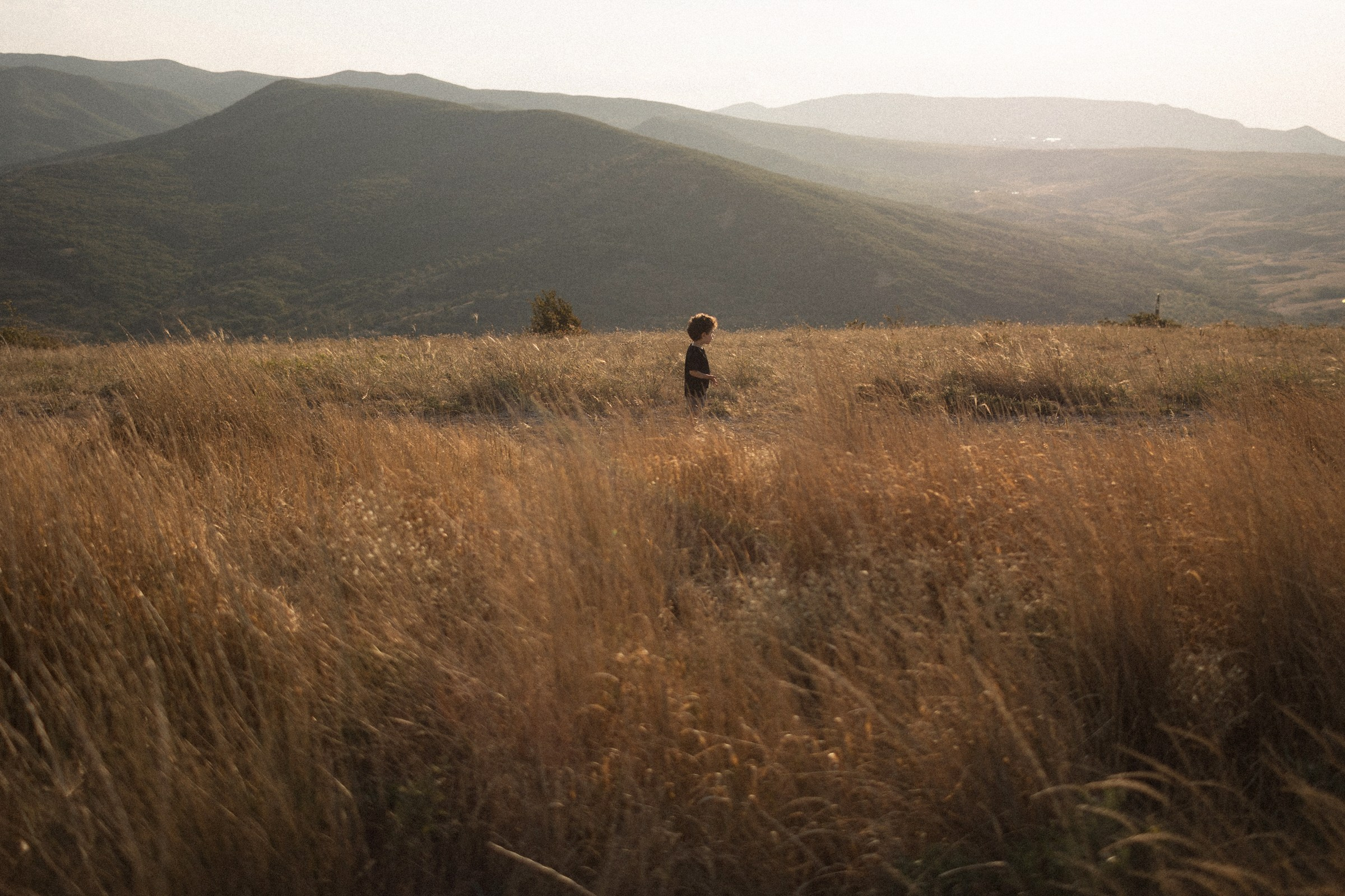 Воздушный змей. Sovushka DS