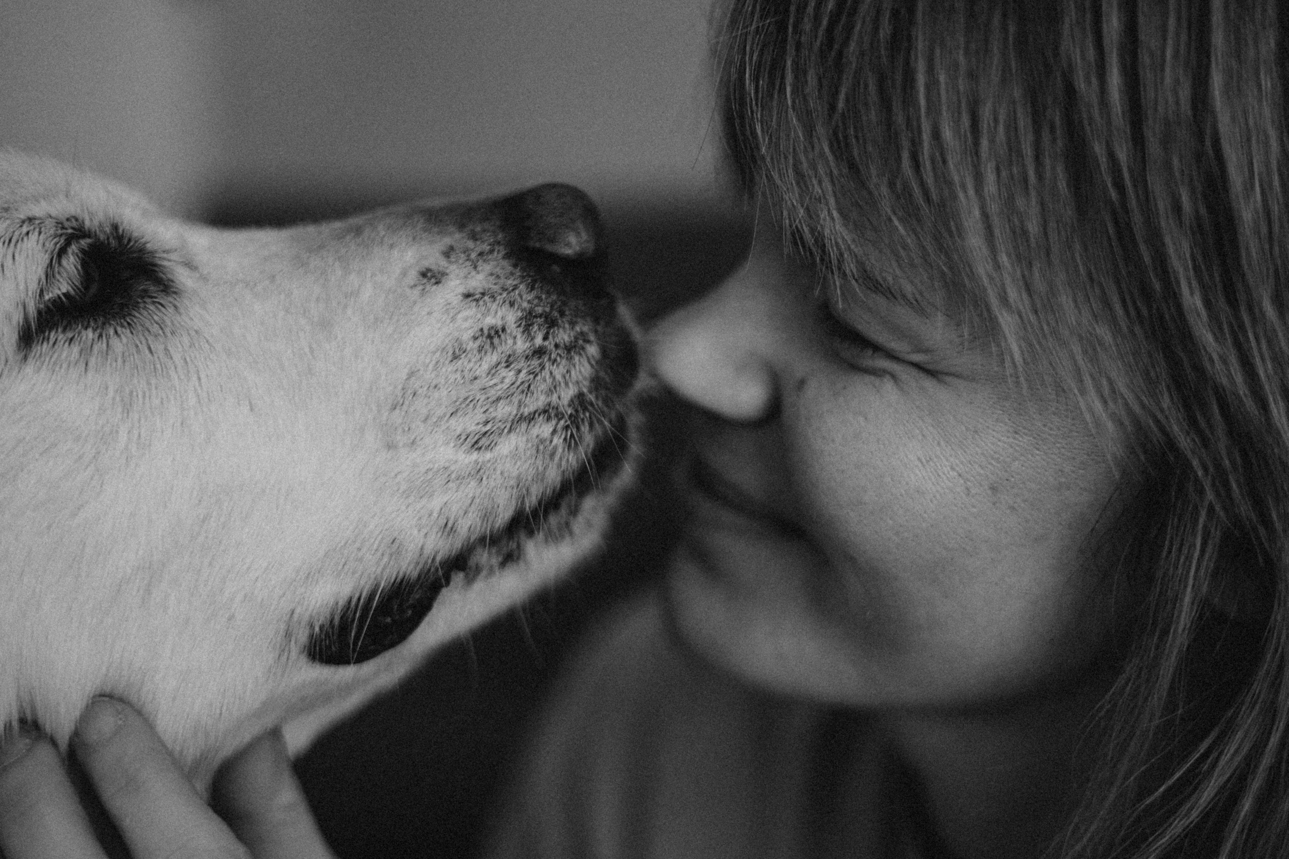 Ирина и Луна. Фотограф — Анималист | Санкт-Петербург