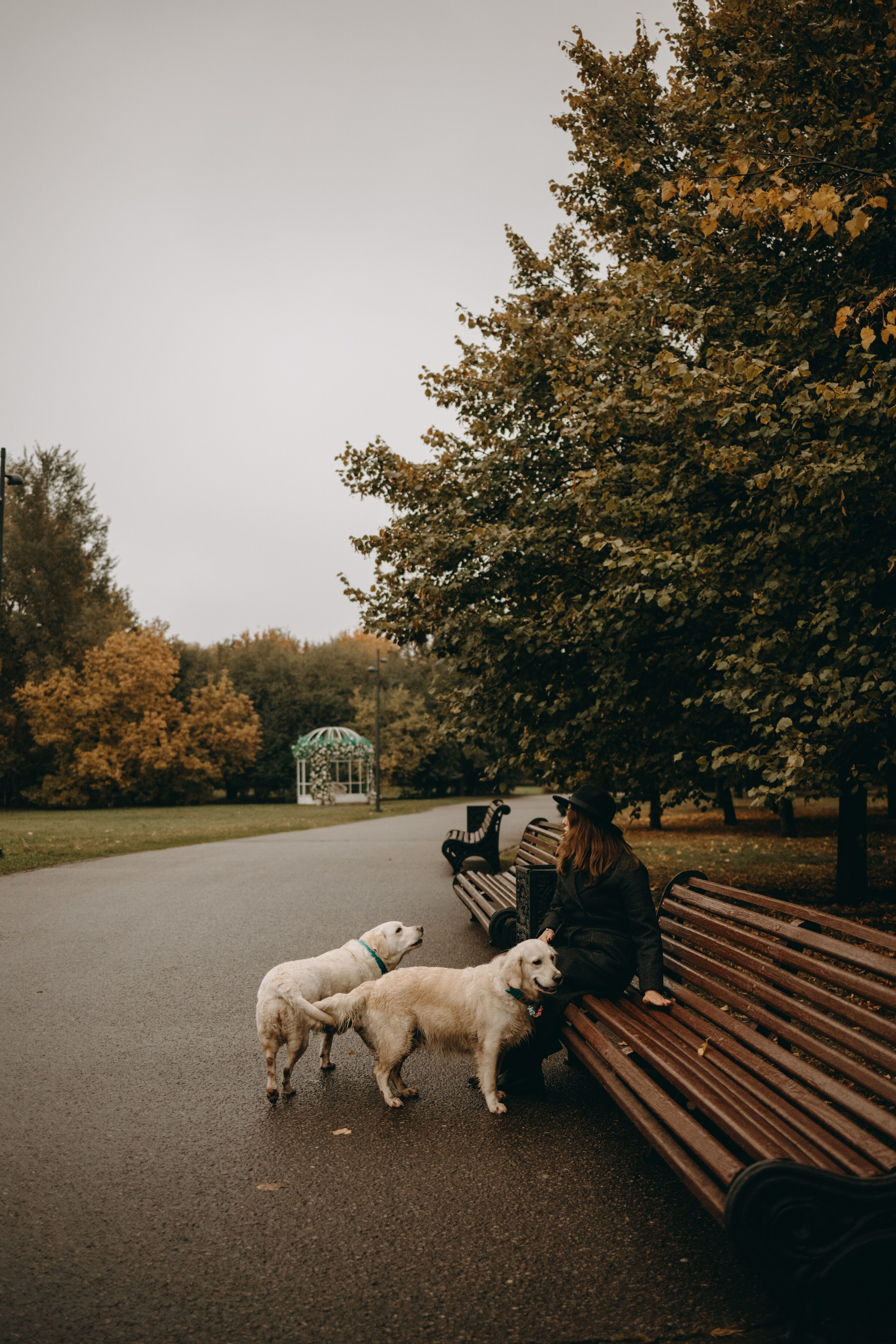 Женя и ее девочки. Фотограф — Анималист | Санкт-Петербург