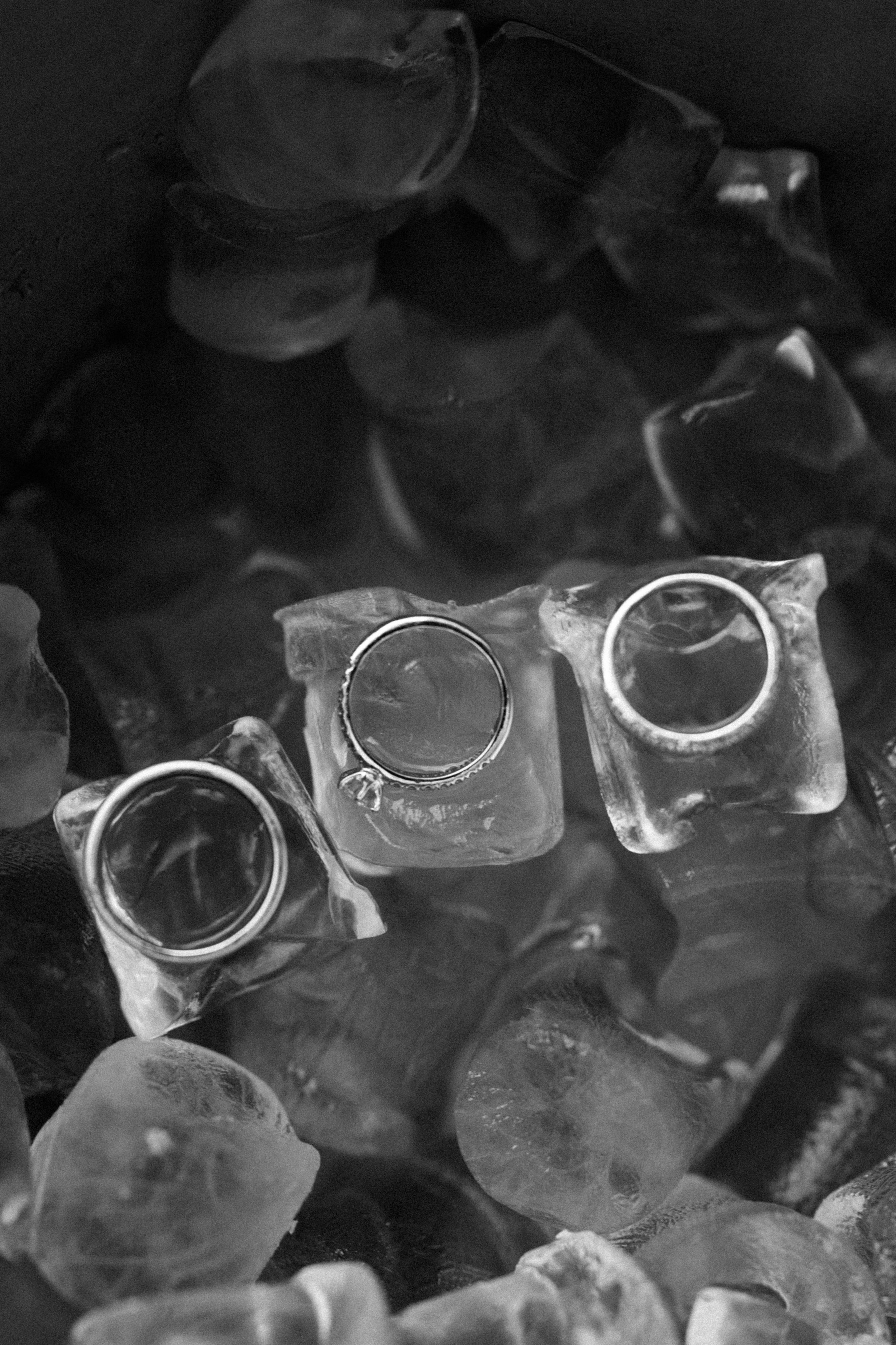 Анастасия и Александр. Профессиональный фотограф