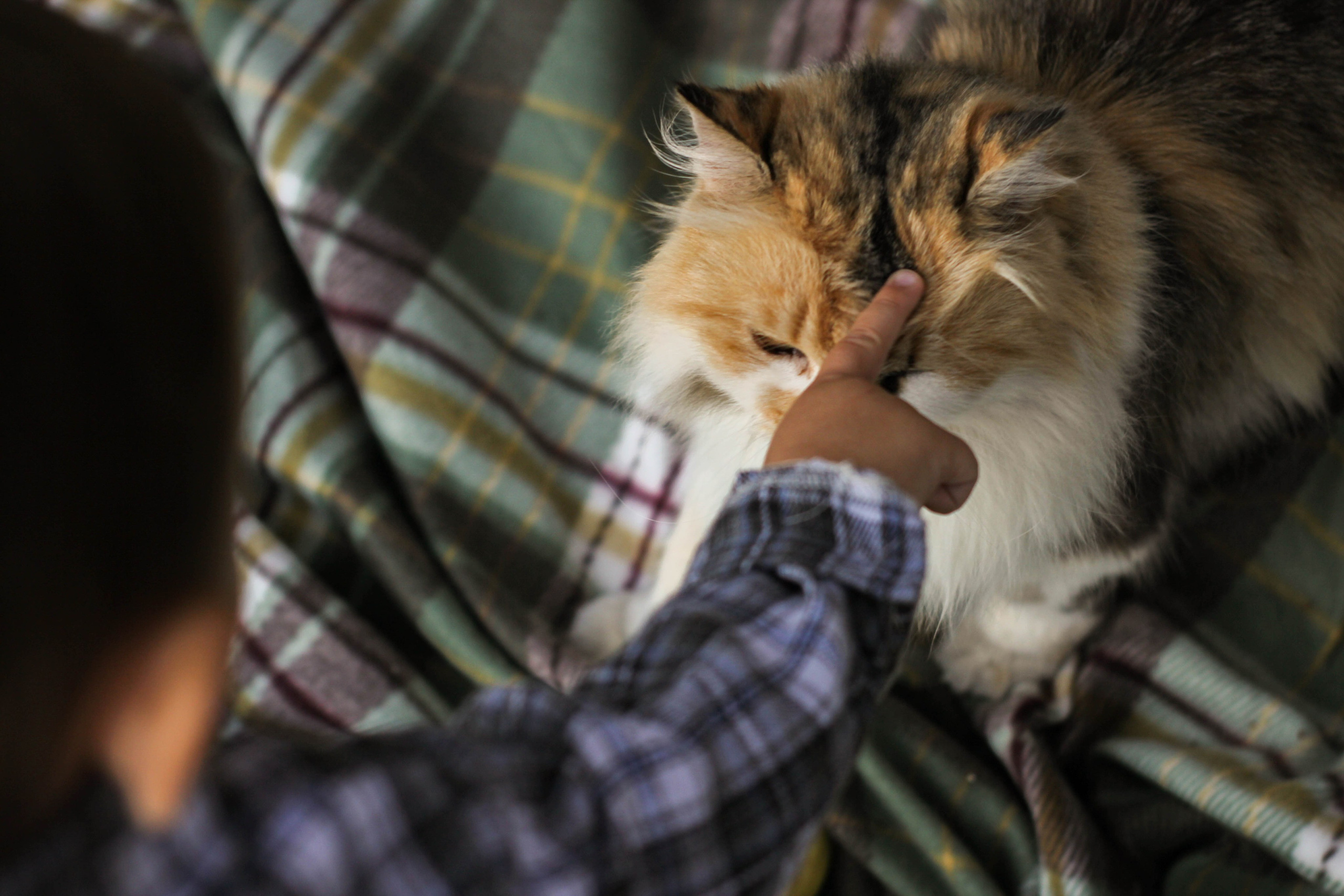 Детская съемка. Наталья Сологуб|Фотограф|Ростов-на-Дону