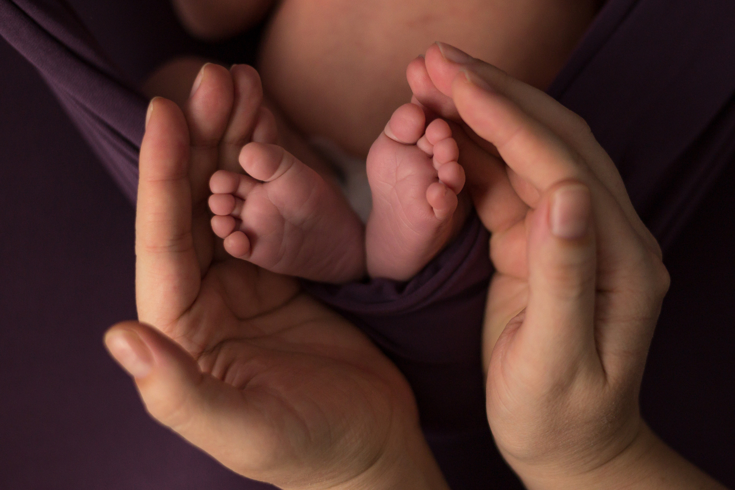 Василиса. Фотограф в Санкт-Петербурге Пономарева Юлия