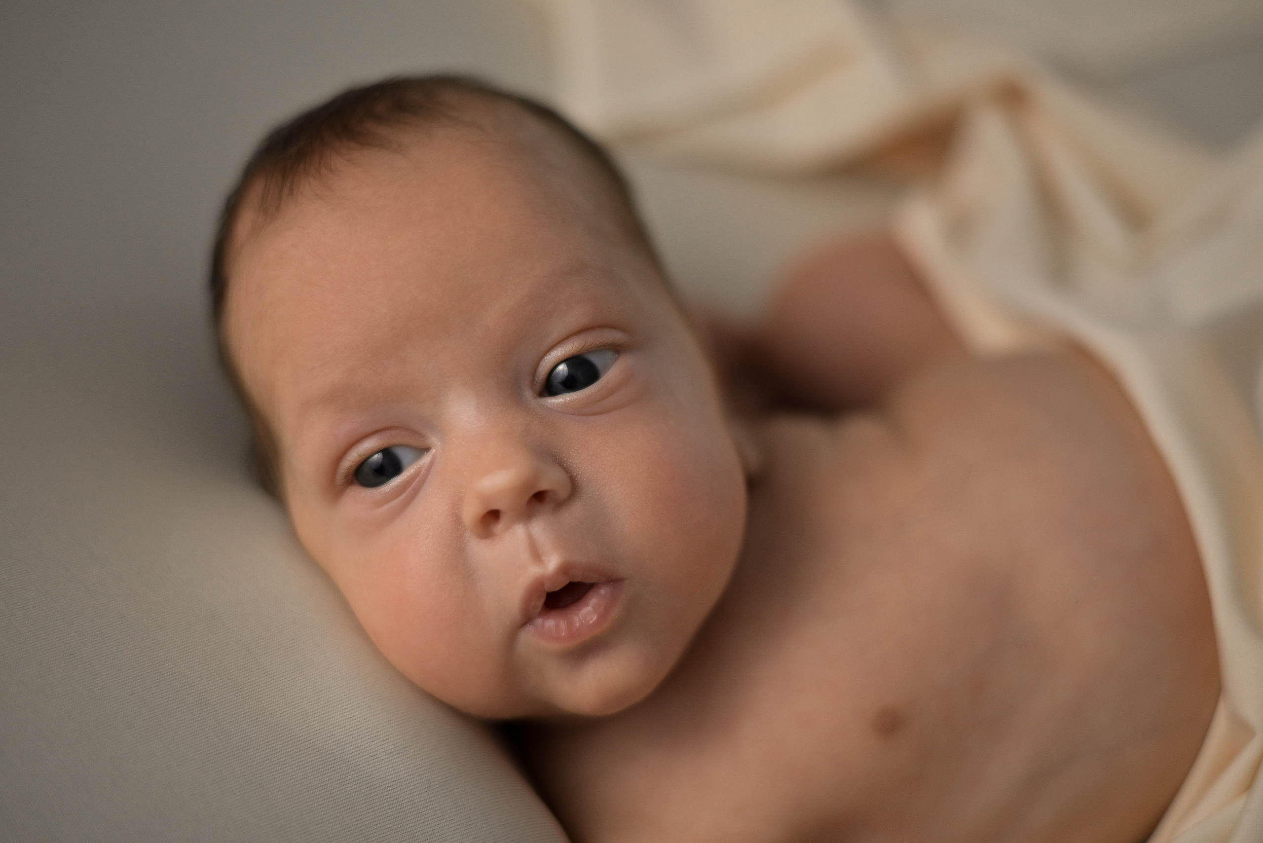 Давид. Фотограф в Санкт-Петербурге Пономарева Юлия