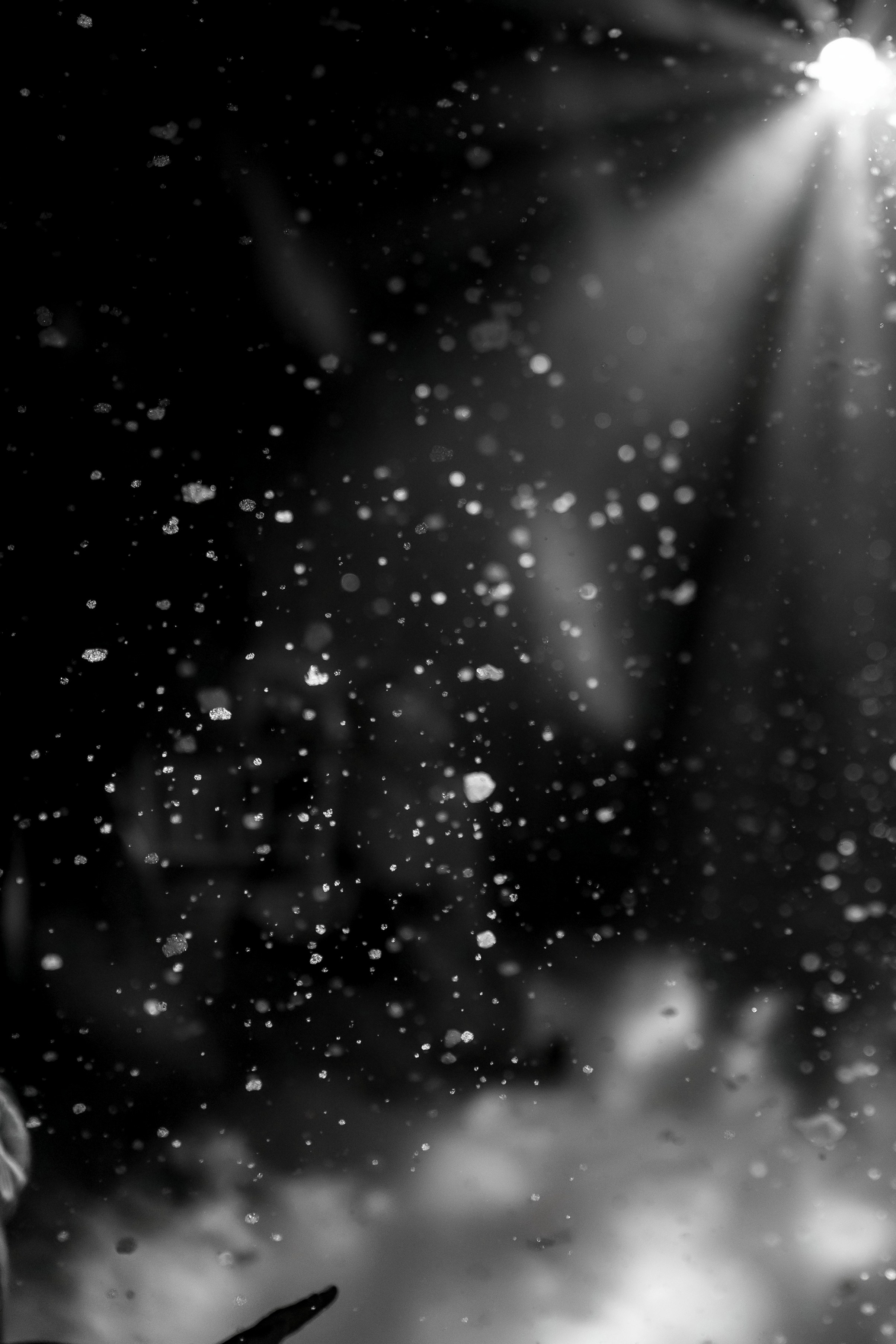 A&A 22/06/2025. Свадебный и семейный фотограф в Севастополе и в Крыму Анастасия Корчак