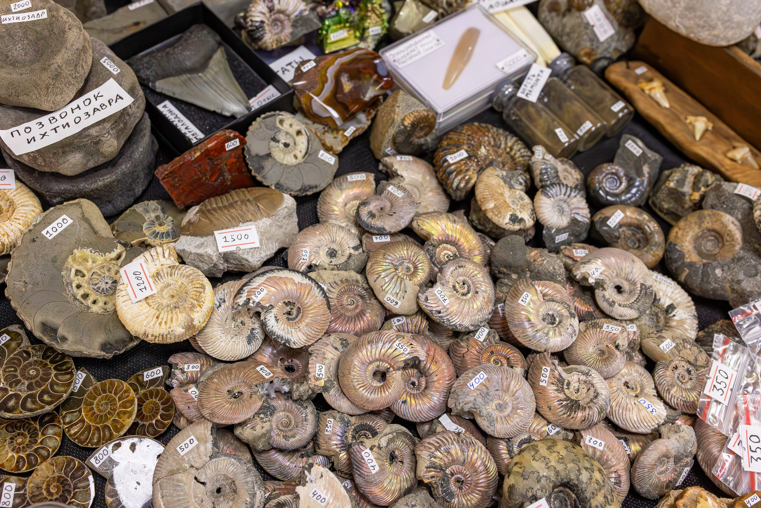 Монстериум апрель 2025. Александра Куликова фотограф, Москва