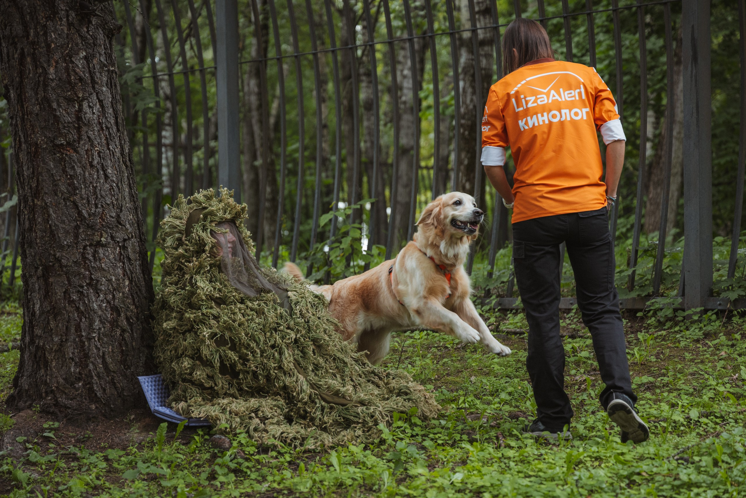 День Фронтовой Собаки (поисково-спасательные собаки). Фотограф Ирина Астор