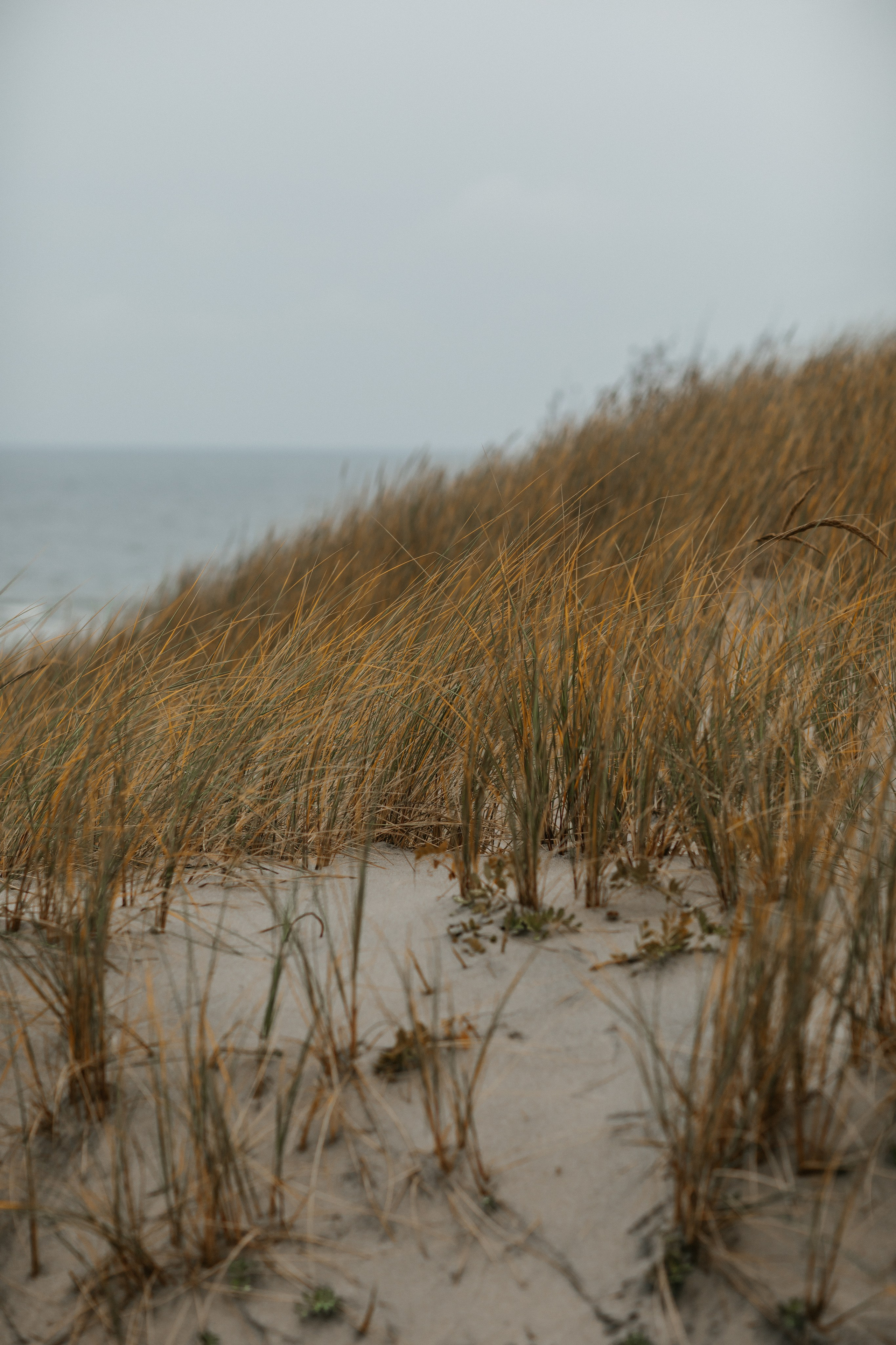 Фотосессия в Балтийске. Https://malovafoto.ru