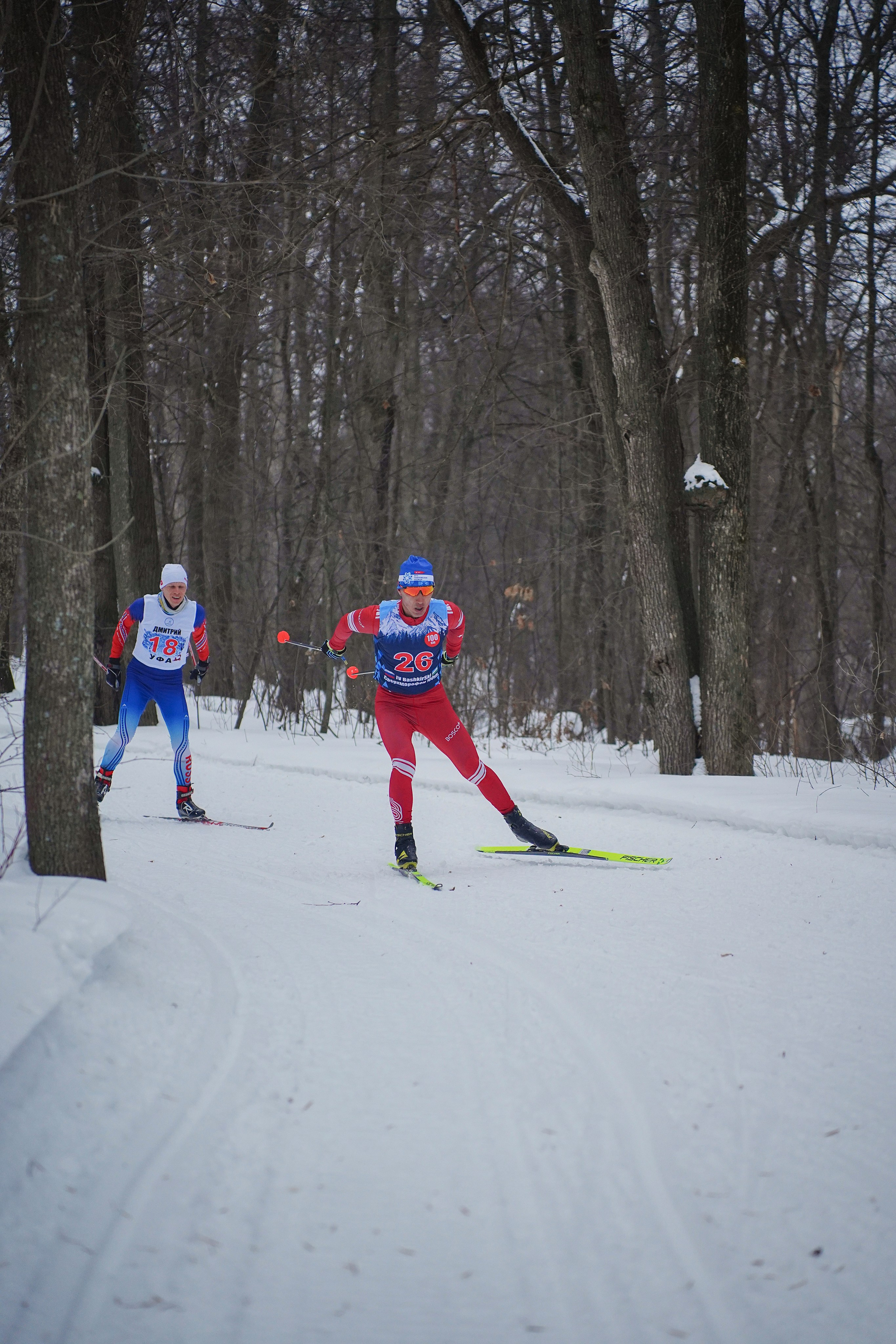 4-й BASHKIR-SKI Лыжный Сверхмарафон 100 км. Pupov.png