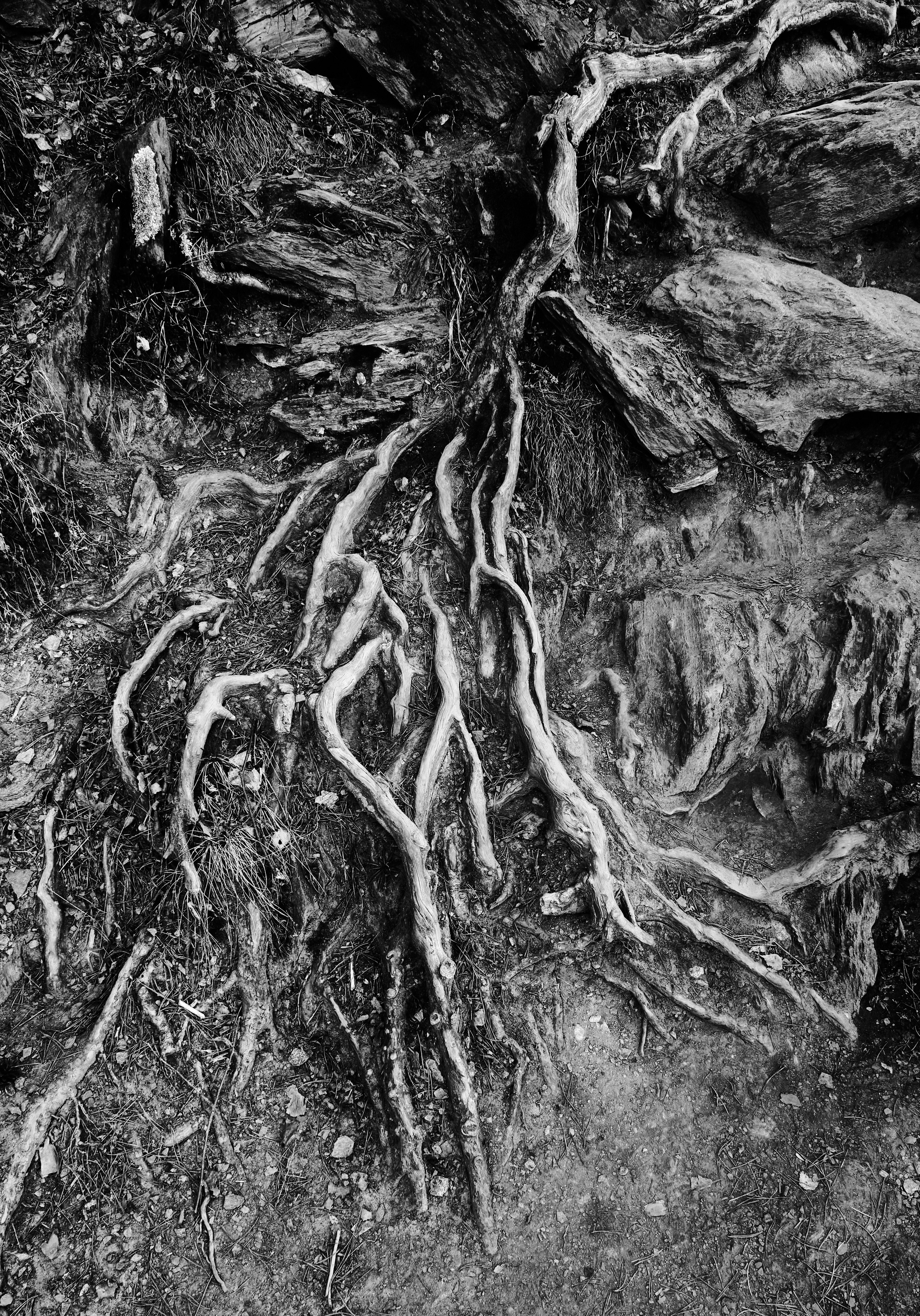 Алтай в ожидании лета. Shaltay Gallery