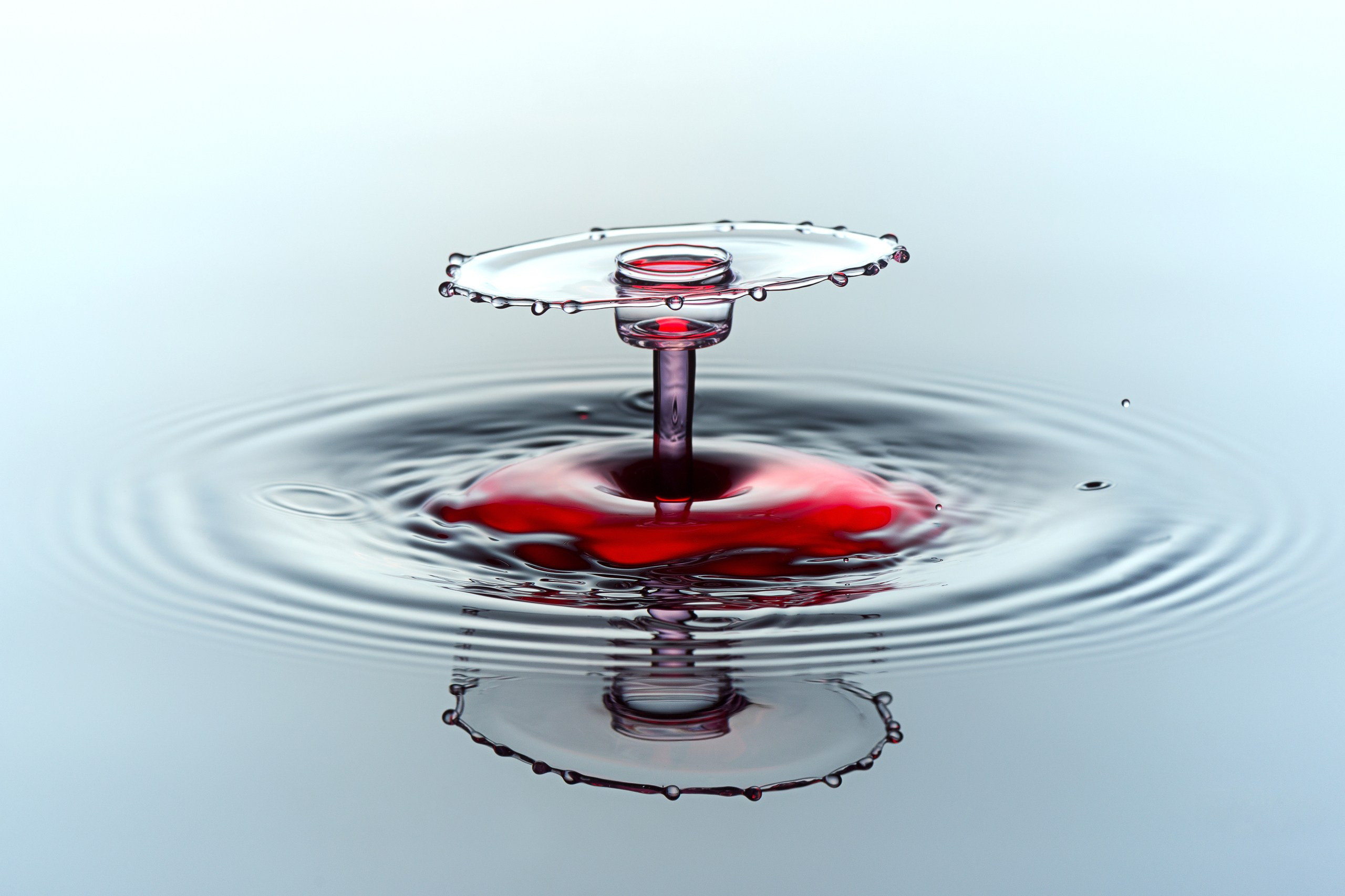 Классические формы. Скульптуры из воды Сергея Толмачева