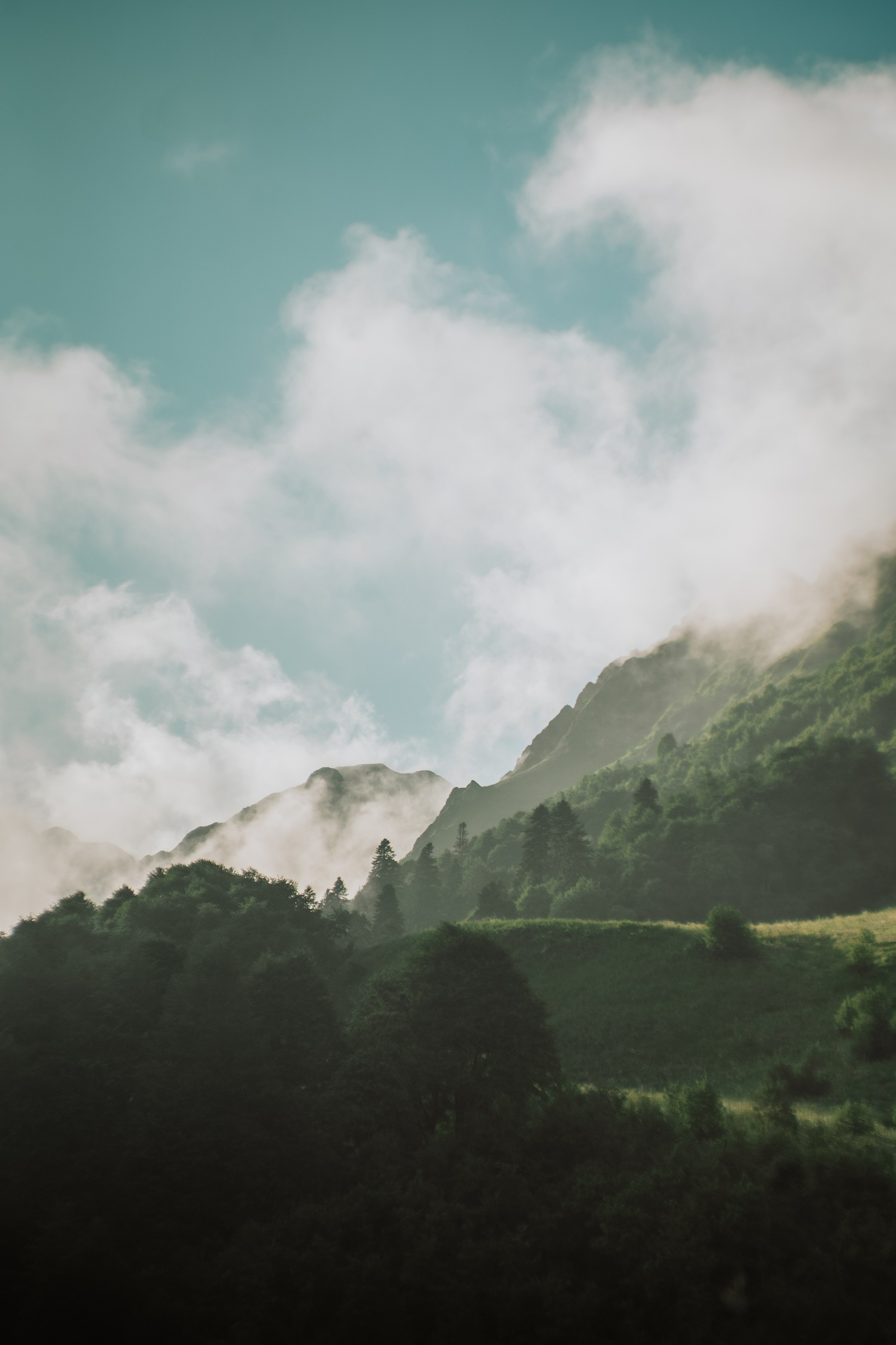 Нахазо ✽ Июль. Репортажный фотограф | Роза Хутор Красная Поляна Сочи Сириус