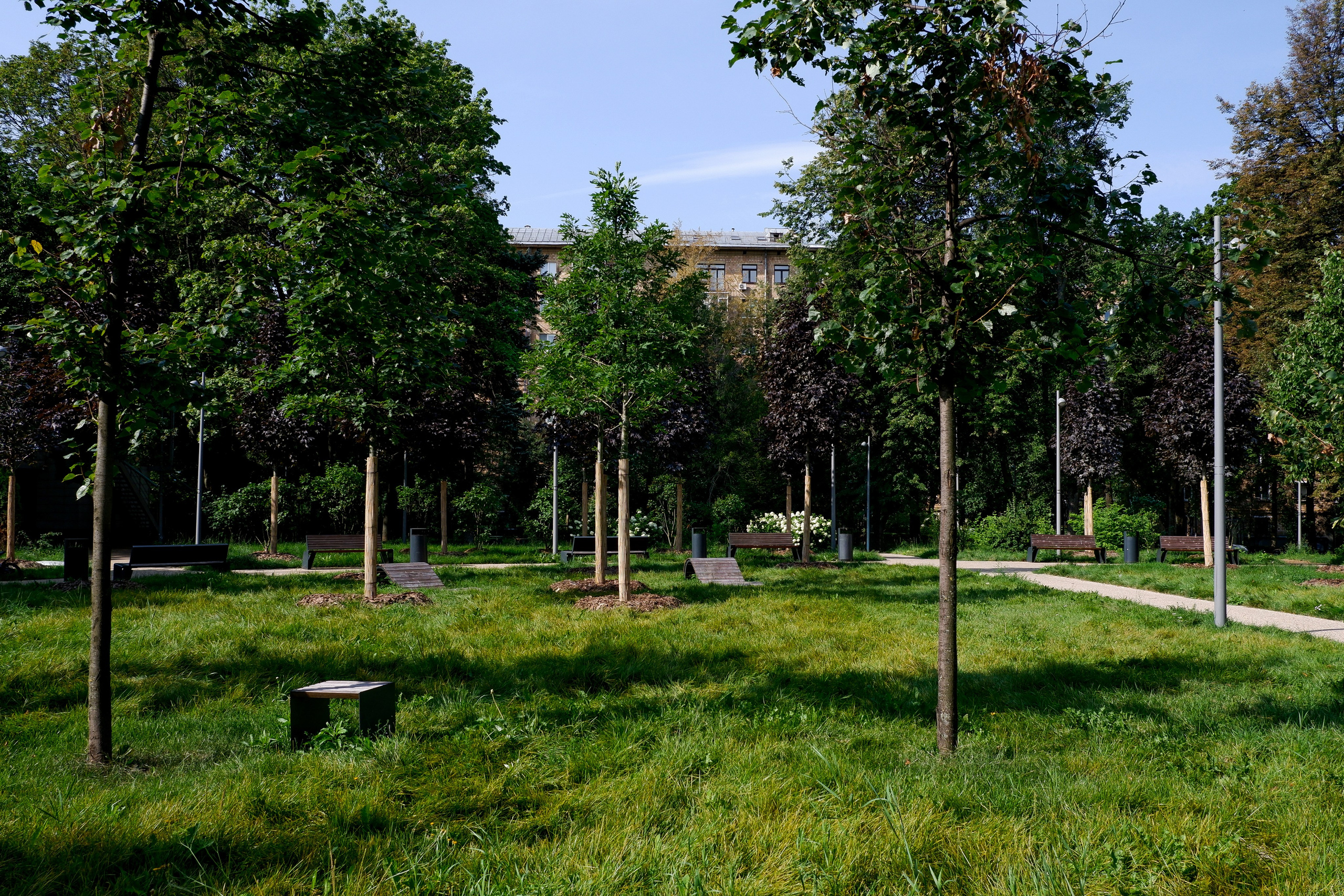 Благоустройство Ленинского проспекта. Михаил Мулач | Архитектурный фотограф