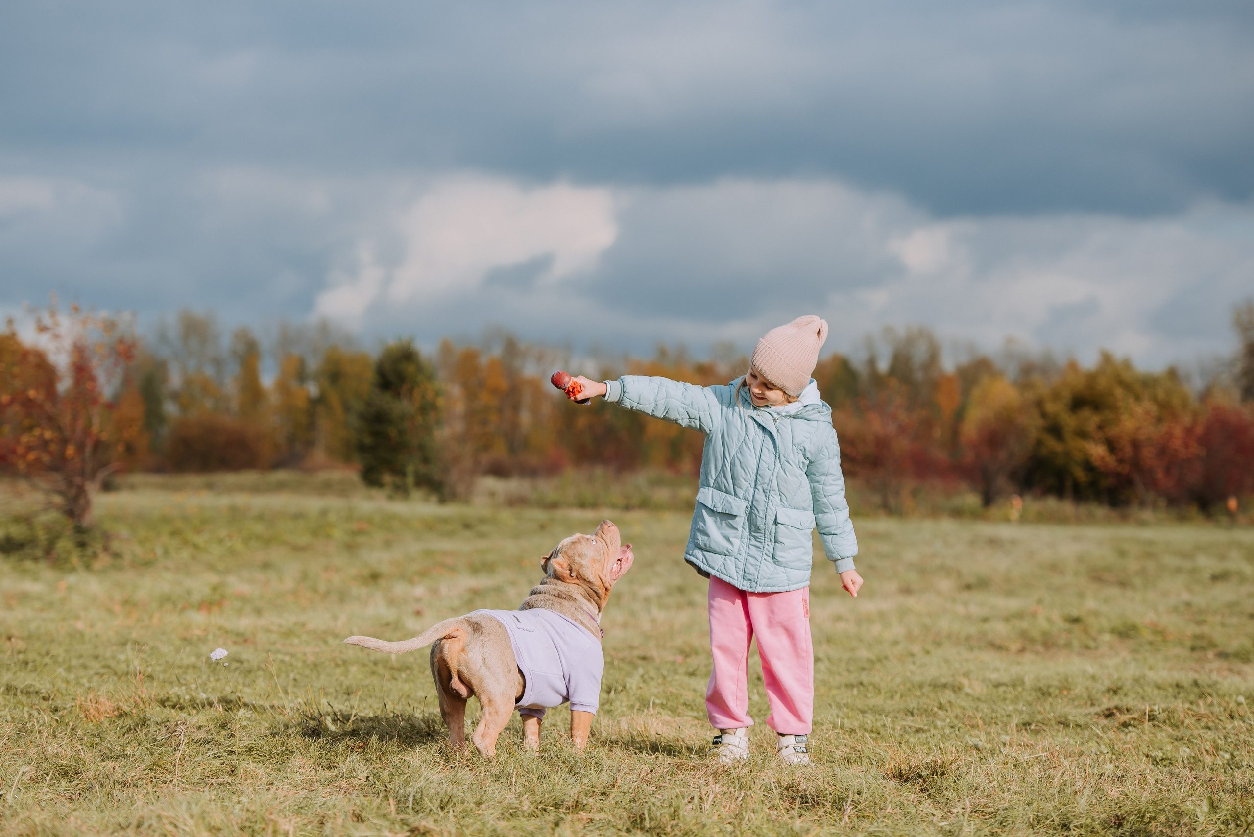 Фотопрогулка с питомцами. Фотограф Диана Оленина Красноярск / Братск