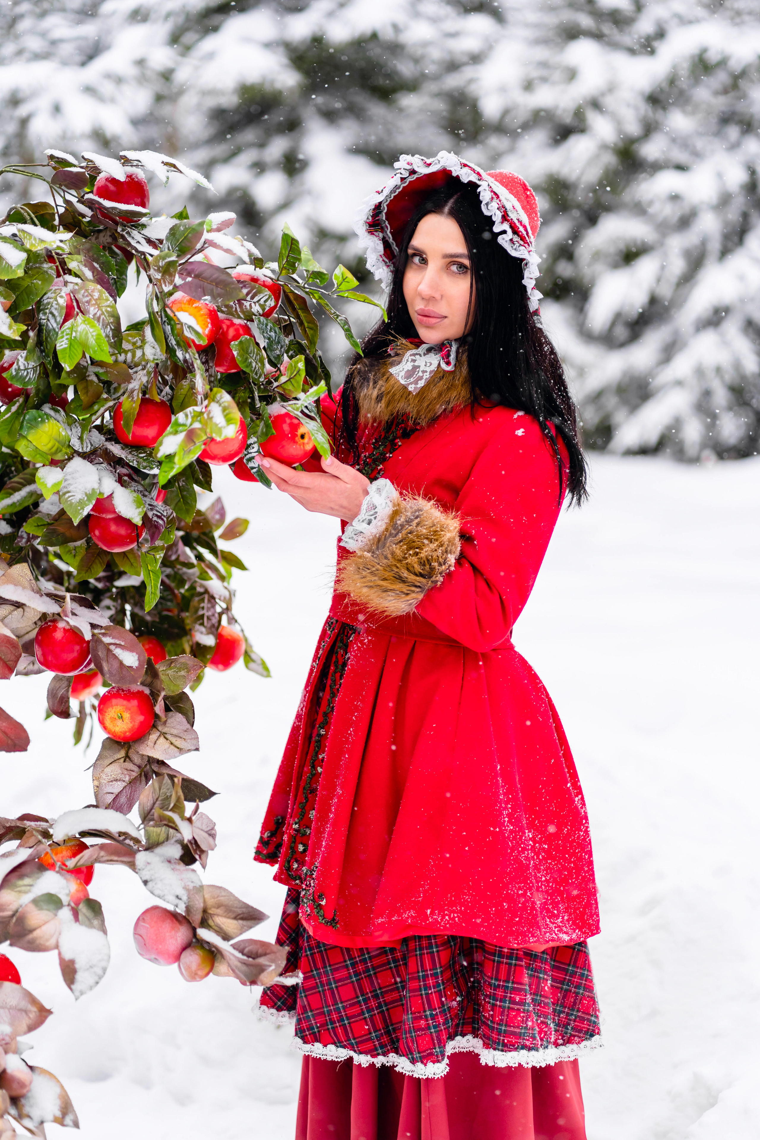 Яблочки на снегу. Фотограф Дмитров. Москва